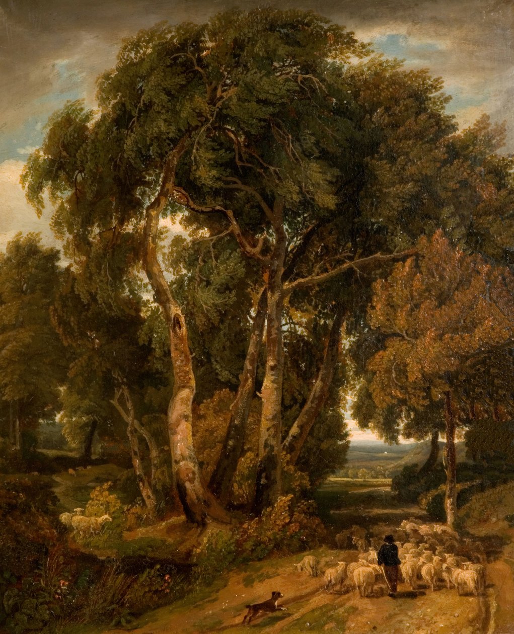 Ajaminen kotiin The Flock, 1806. tekijältä William Havell