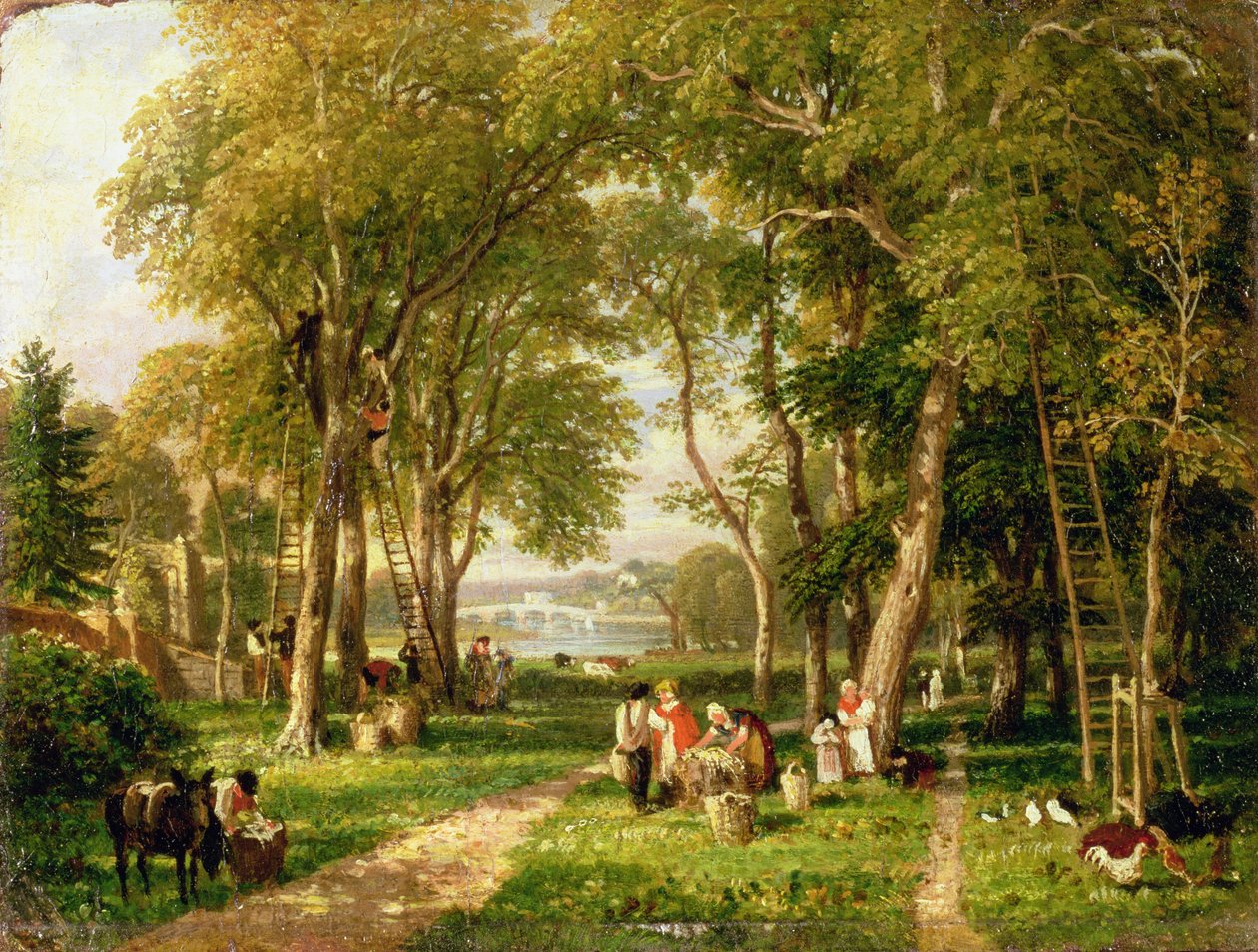 Walnut Gathering Petershamissa, lähellä Richmond Bridgeä tekijältä William Havell