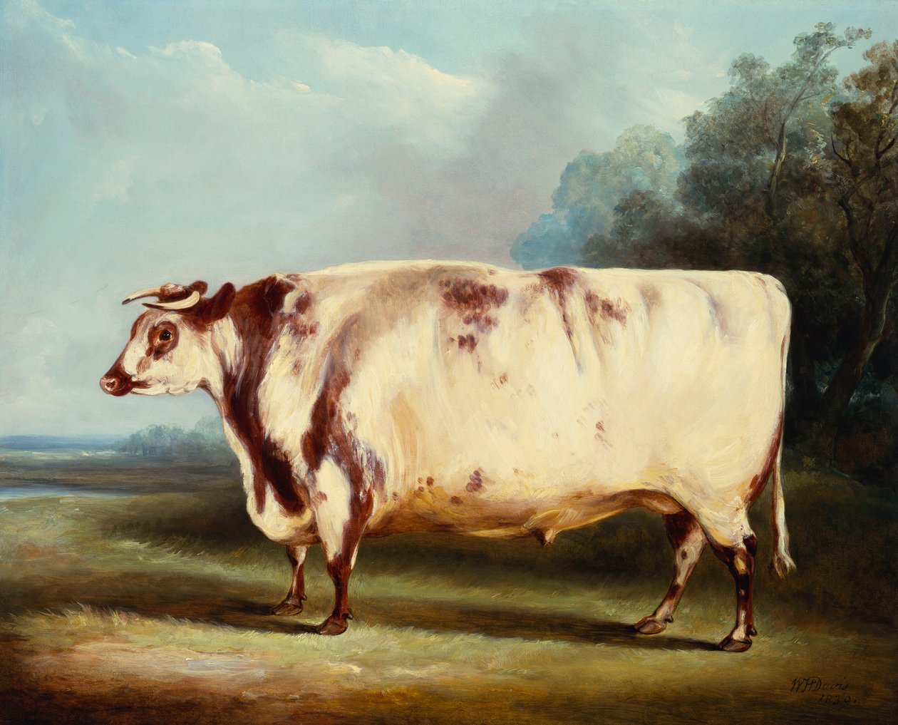 Palkintohärkä, 1839 tekijältä William Henry Davis
