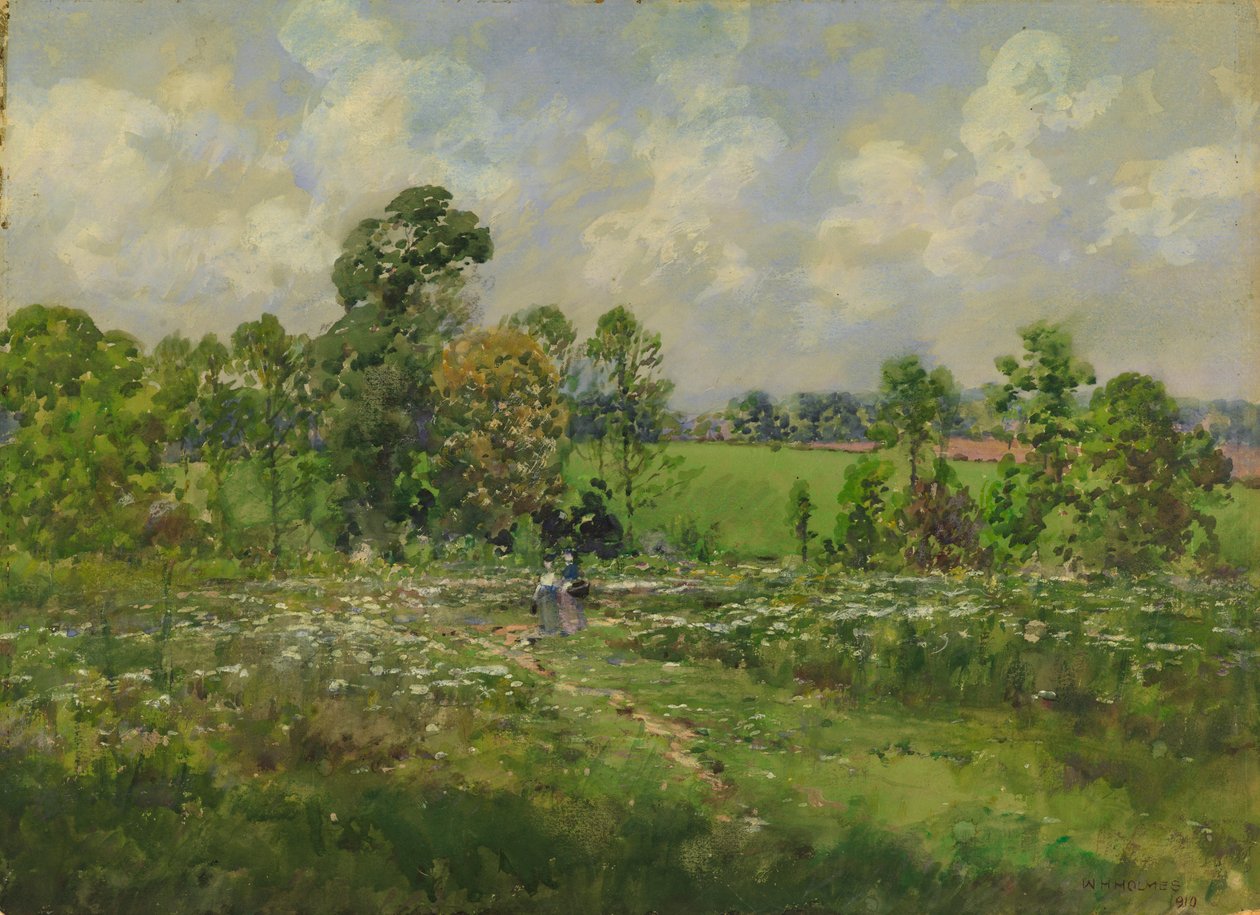 Kukkainen niitty, 1910. tekijältä William Henry Holmes