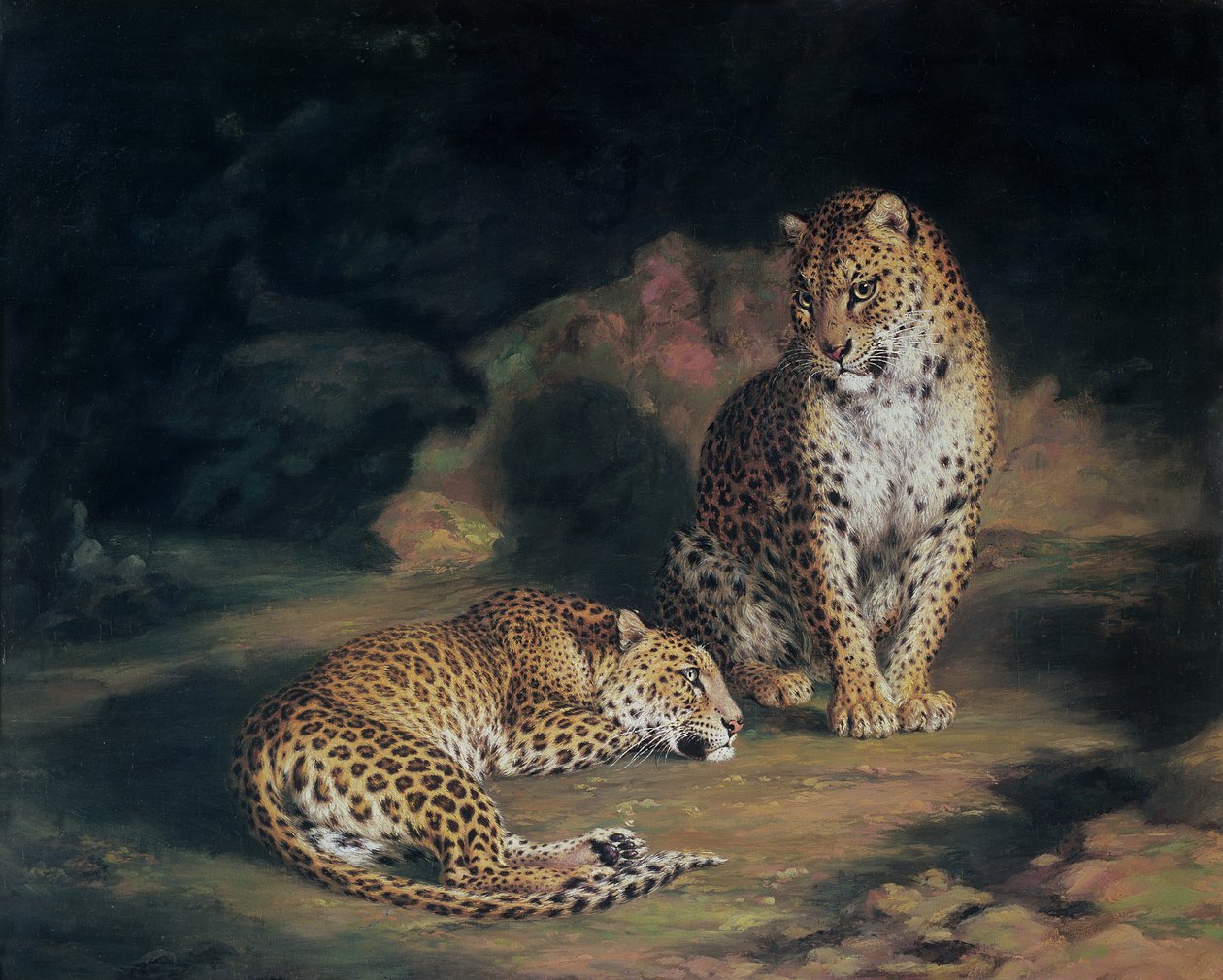 Leopardipari, 1845 tekijältä William Huggins