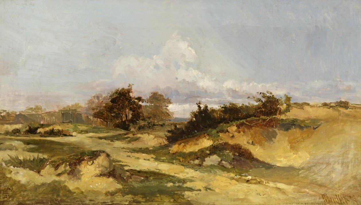 Sand Pits, Hampstead Heath tekijältä William James Muller