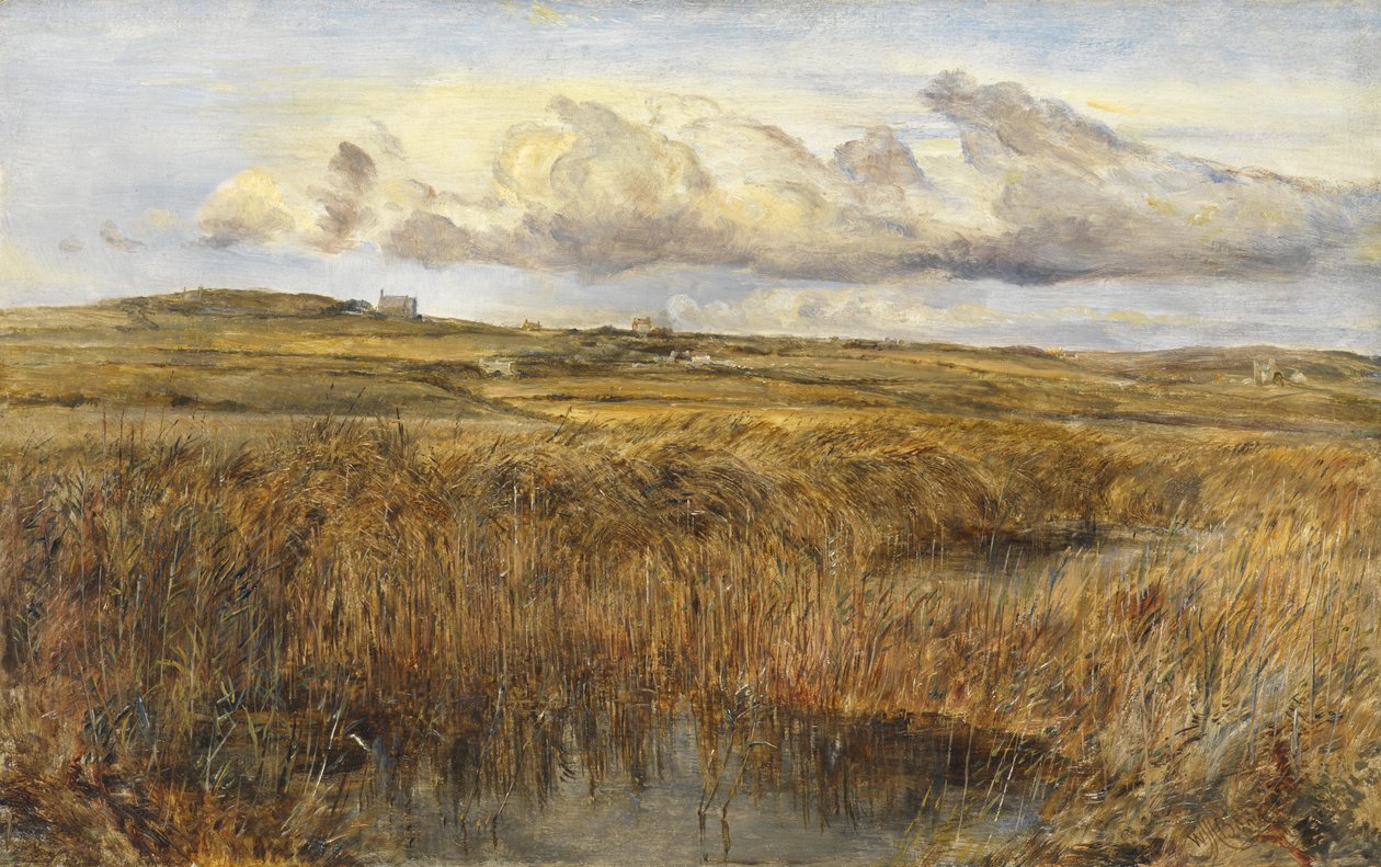 Rhoscolyn, Anglesey tekijältä William Joseph J.C. Bond