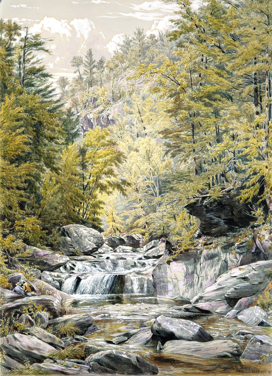 Catskill-neilikka, 1856. tekijältä William Rickarby Miller