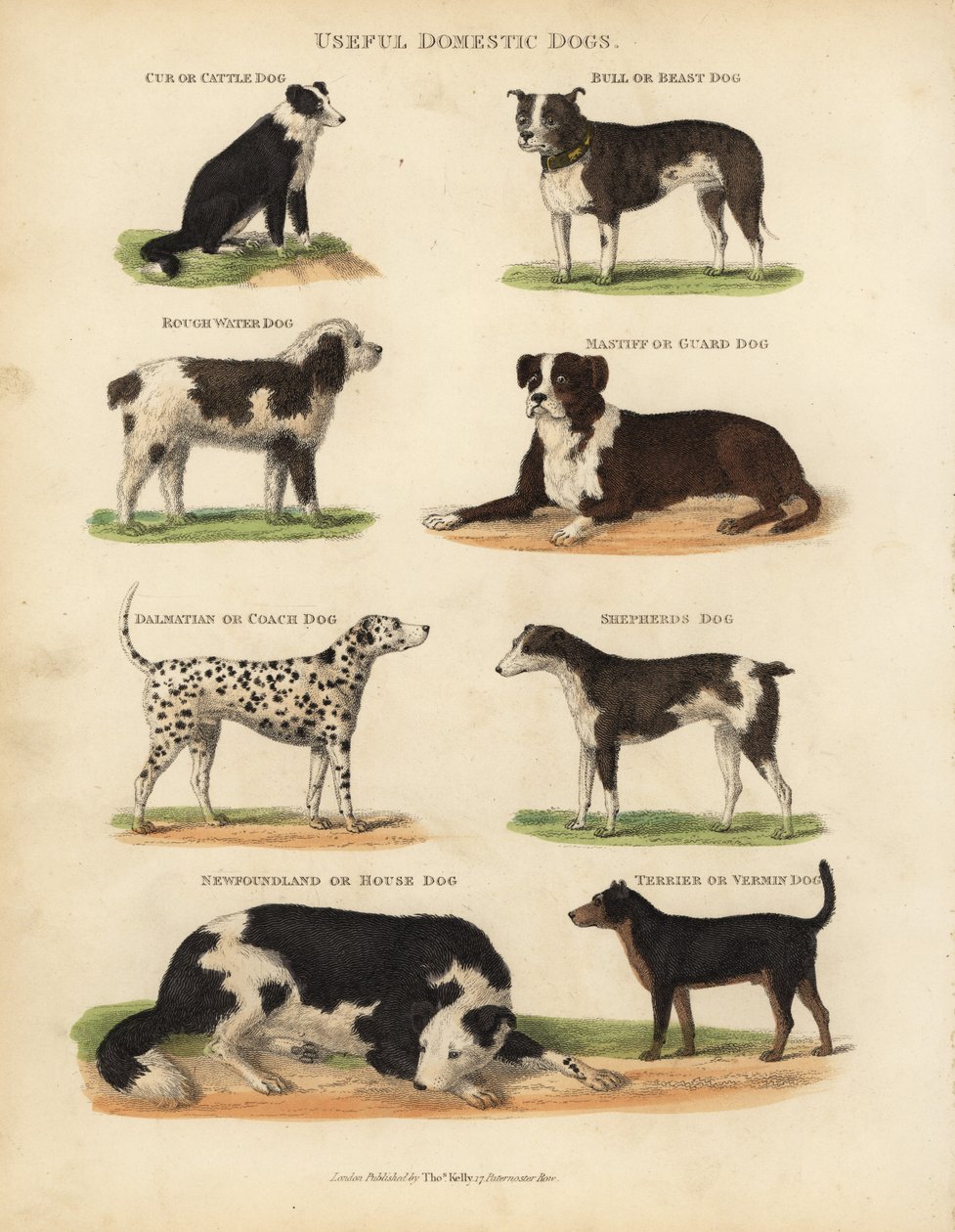 Hyödylliset kotikoirat, Canis lupus familiaris. tekijältä William Smellie