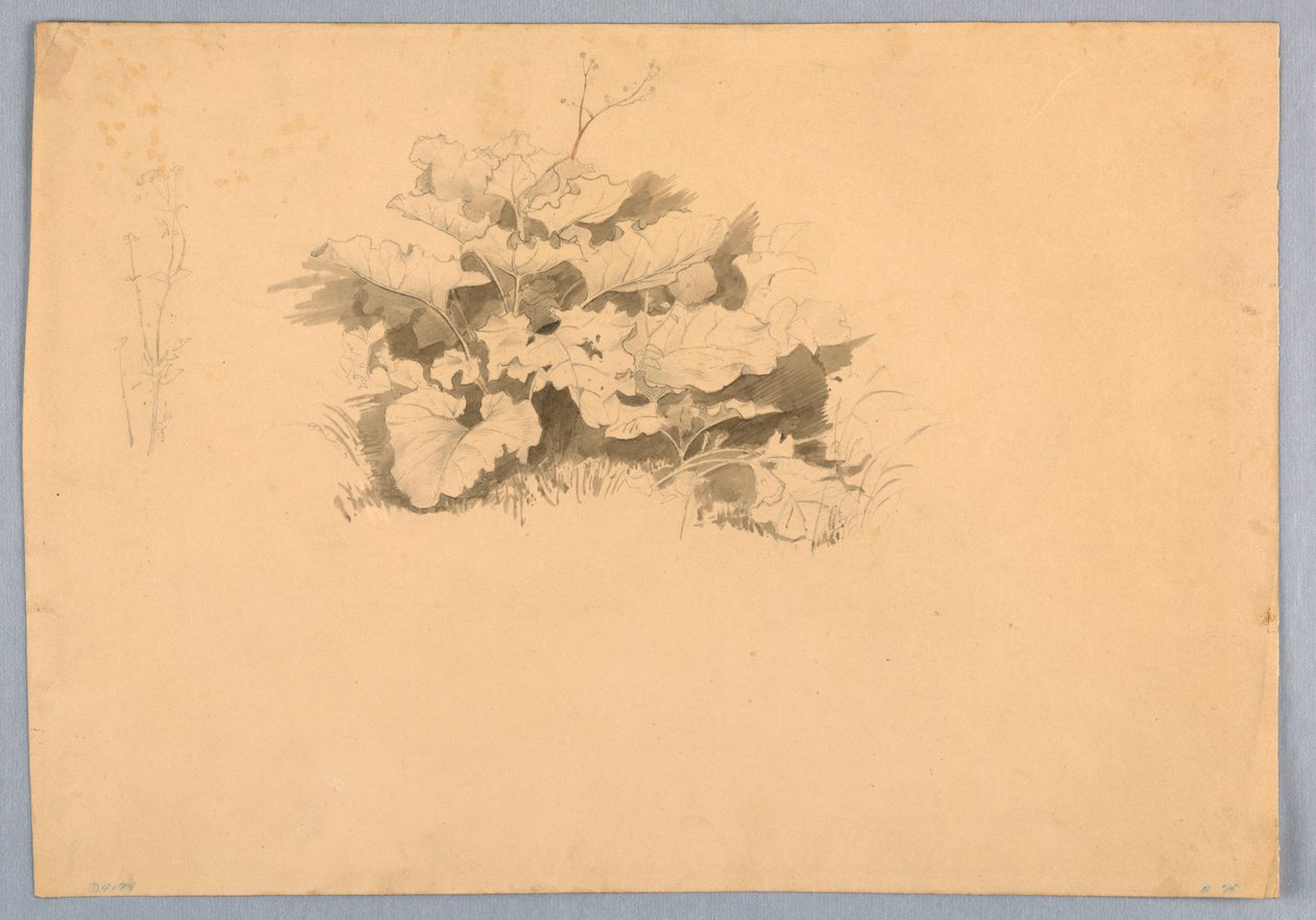 Lehdistöjen tutkimus tekijältä William Stanley Haseltine