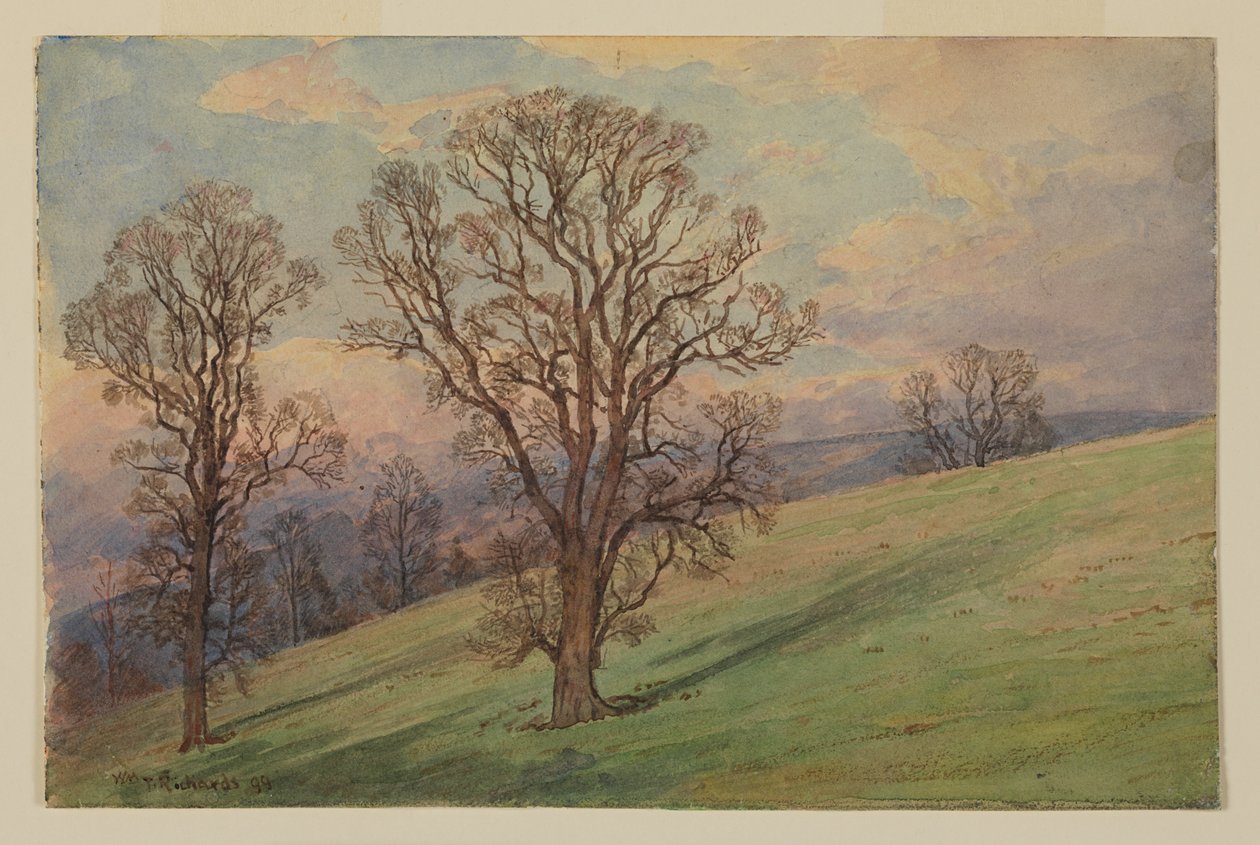 Maisematutkimus, Chesterin piirikunta, PA tekijältä William Trost Richards
