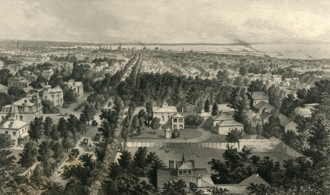 "Buffalon kaupunki", 1872. tekijältä William Wellstood