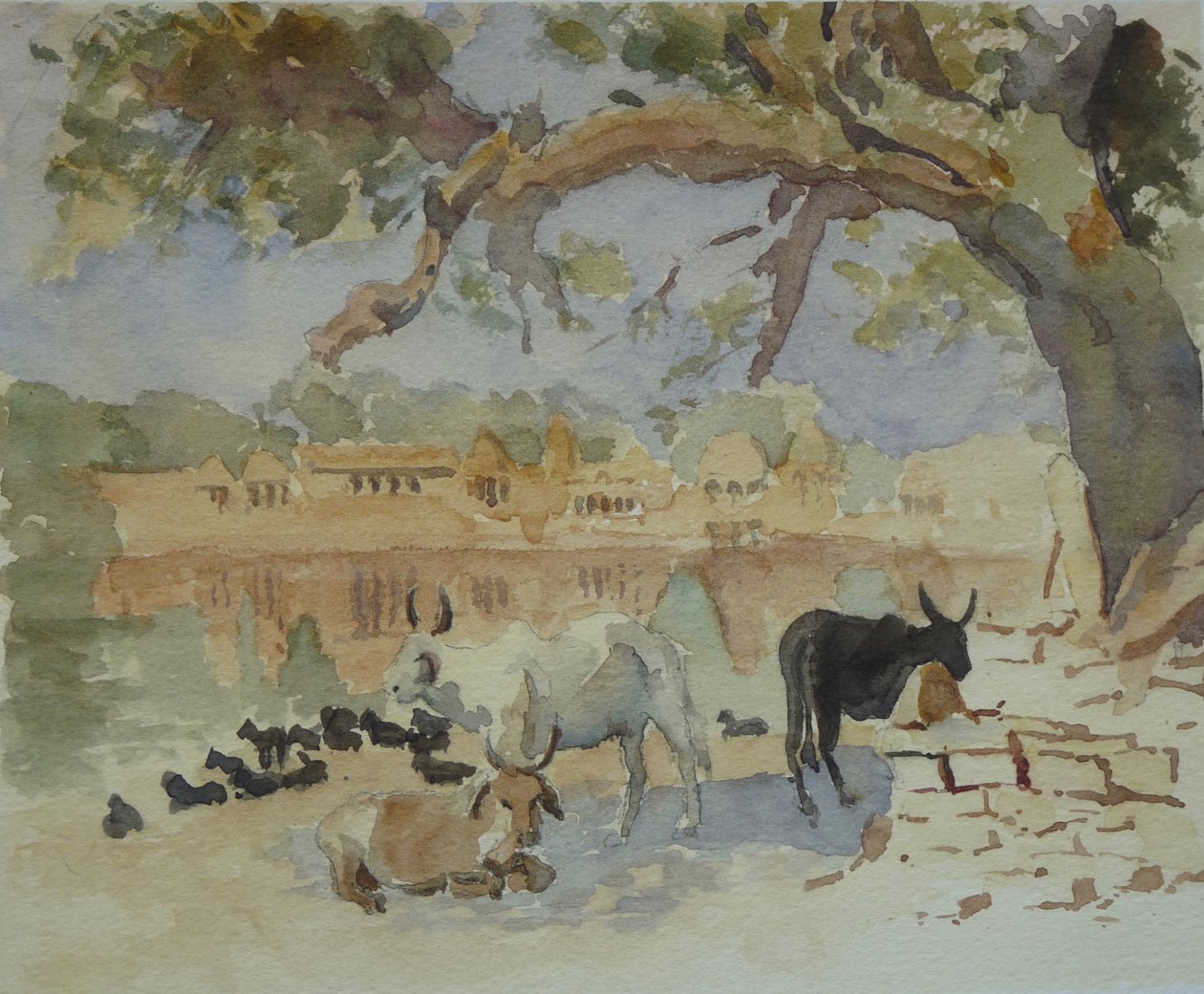 435A Jaisalmer - Gadi Sagar (luonnos) tekijältä Wilson Clive