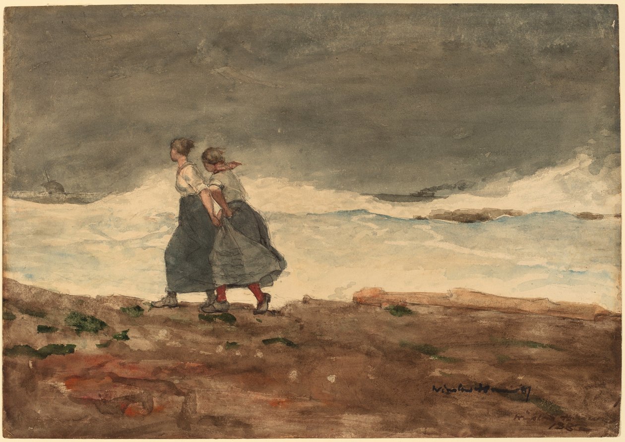 Vaara tekijältä Winslow Homer