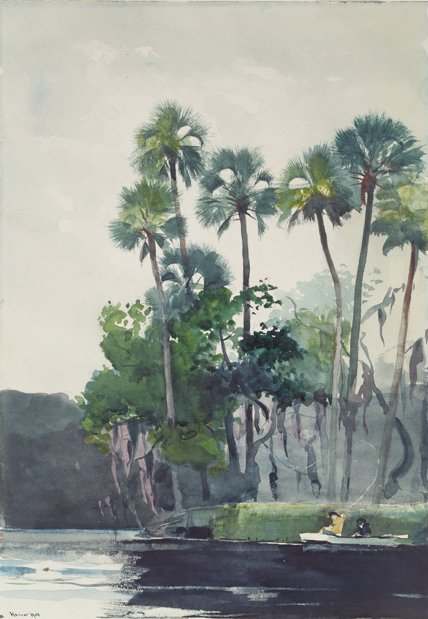 Homosassa-joki, 1904 tekijältä Winslow Homer