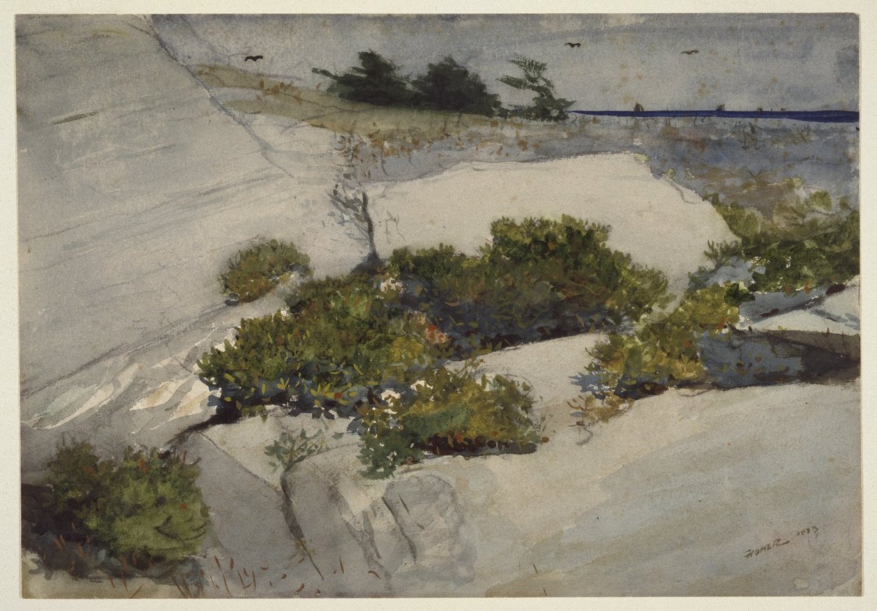 Maine Cliffs tekijältä Winslow Homer
