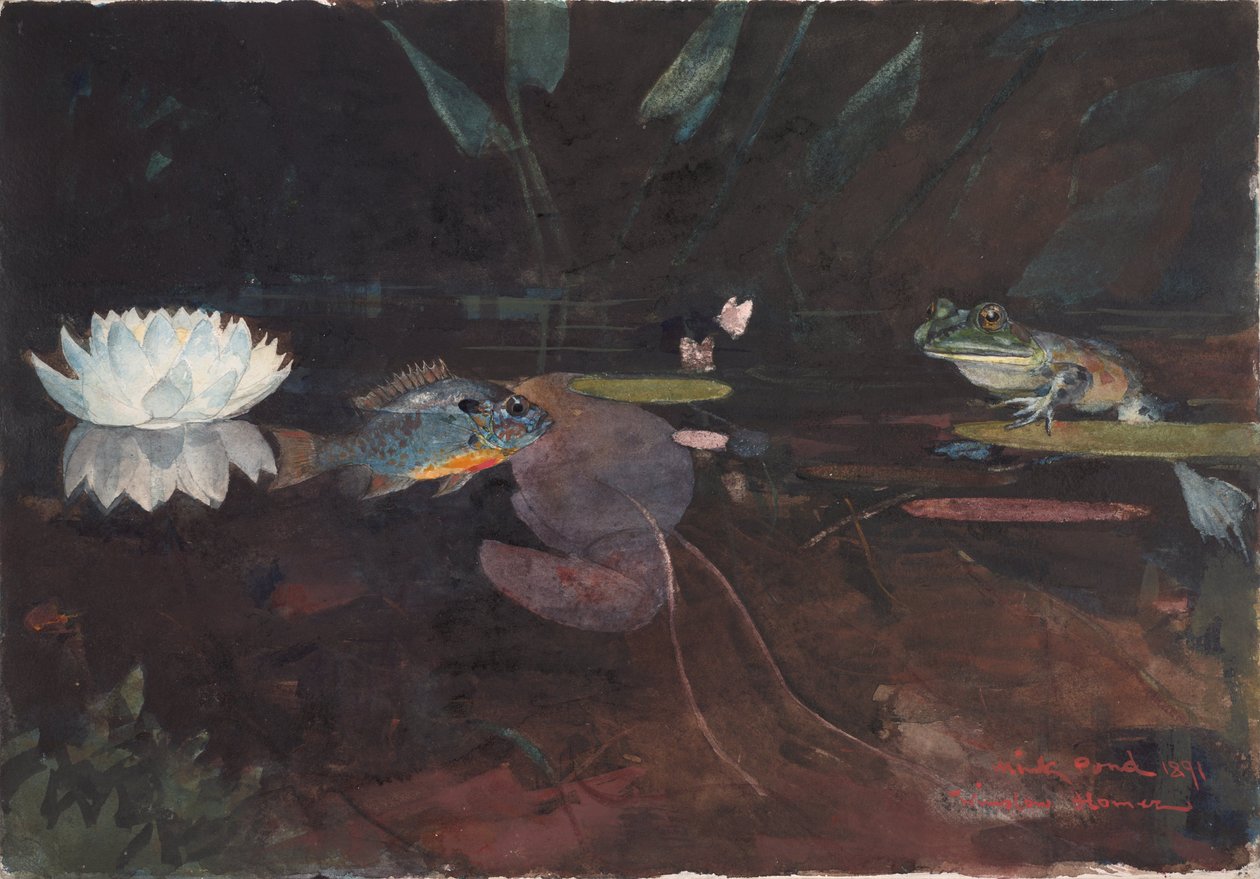 Mink Pond tekijältä Winslow Homer