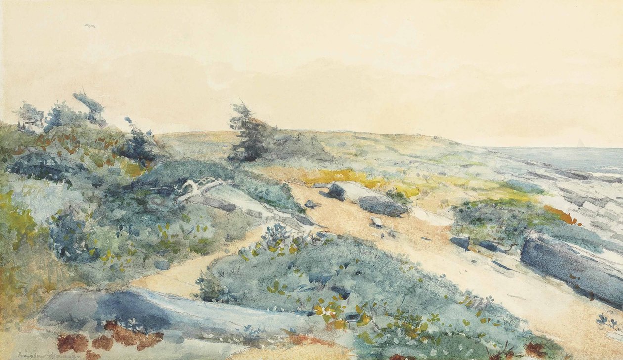 Prouts Kaula tekijältä Winslow Homer