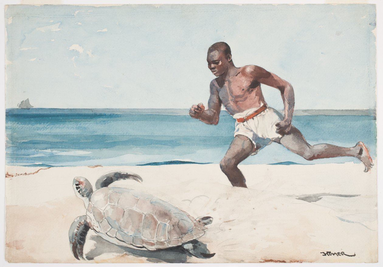 Rum Cay (wc grafiitin päällä paperilla) tekijältä Winslow Homer