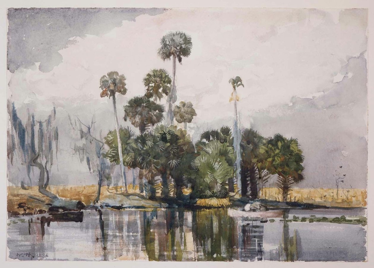 Thornhill -baari tekijältä Winslow Homer