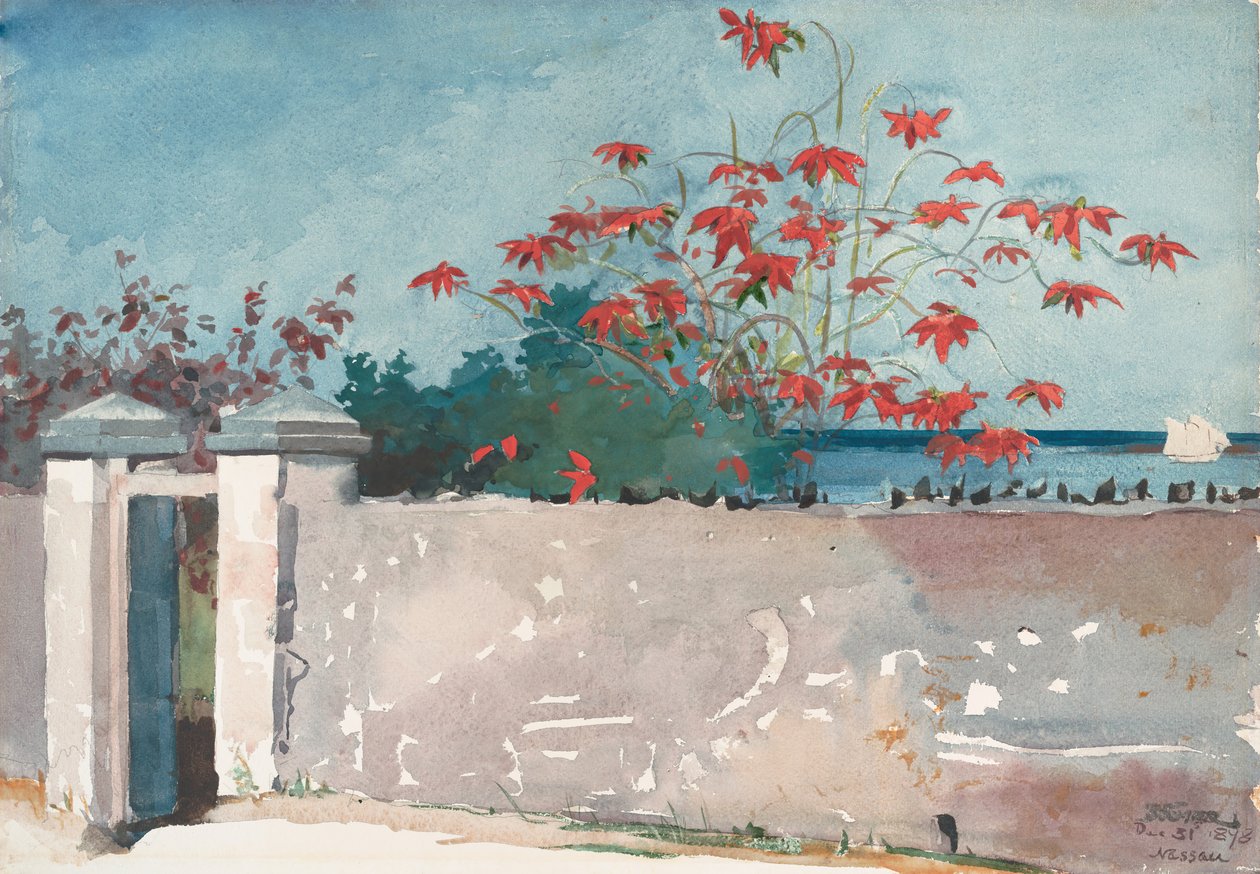A Wall, Nassau, 1898. tekijältä Winslow Homer