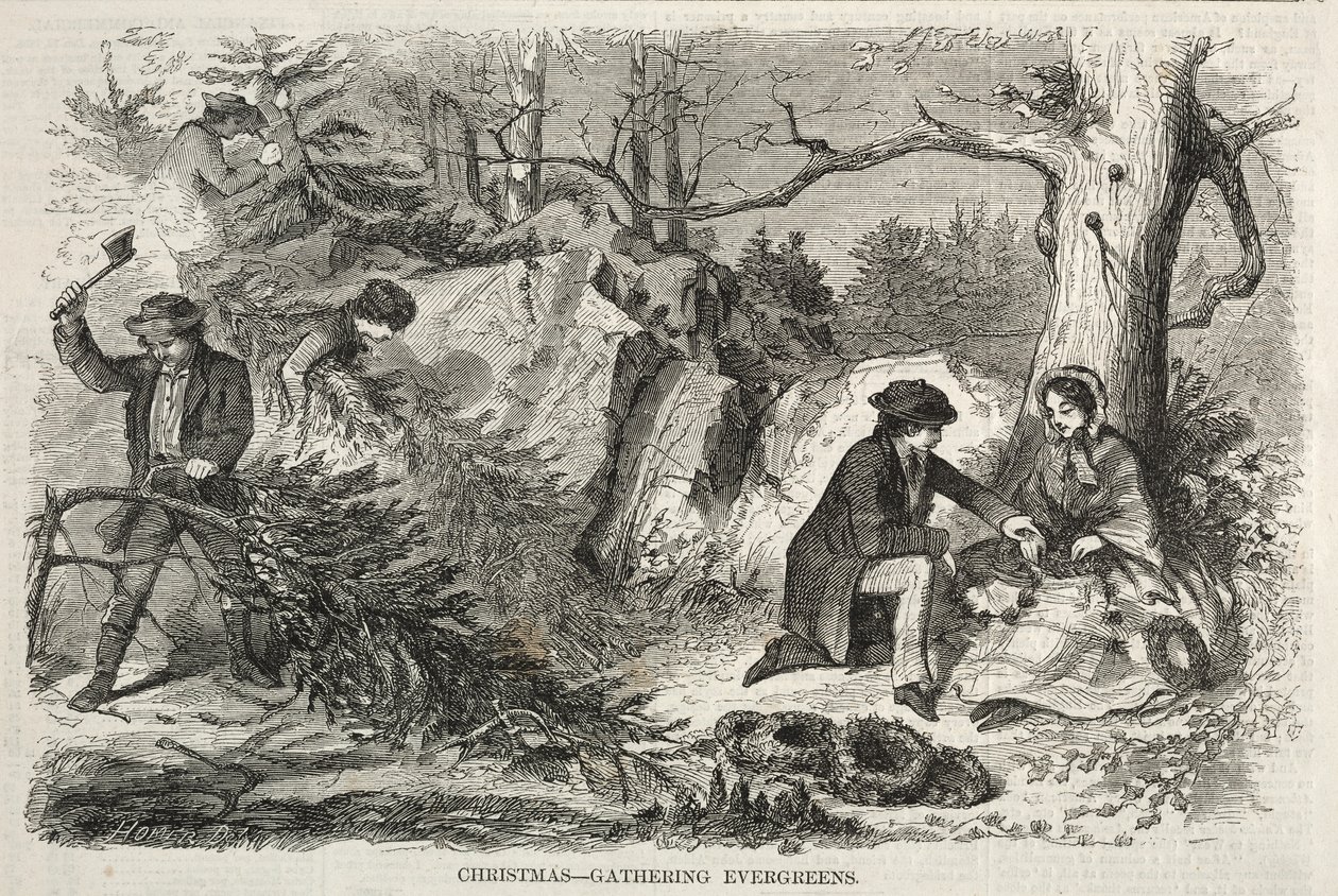 Joulu - Evergreensin kerääminen, 1858. tekijältä Winslow Homer