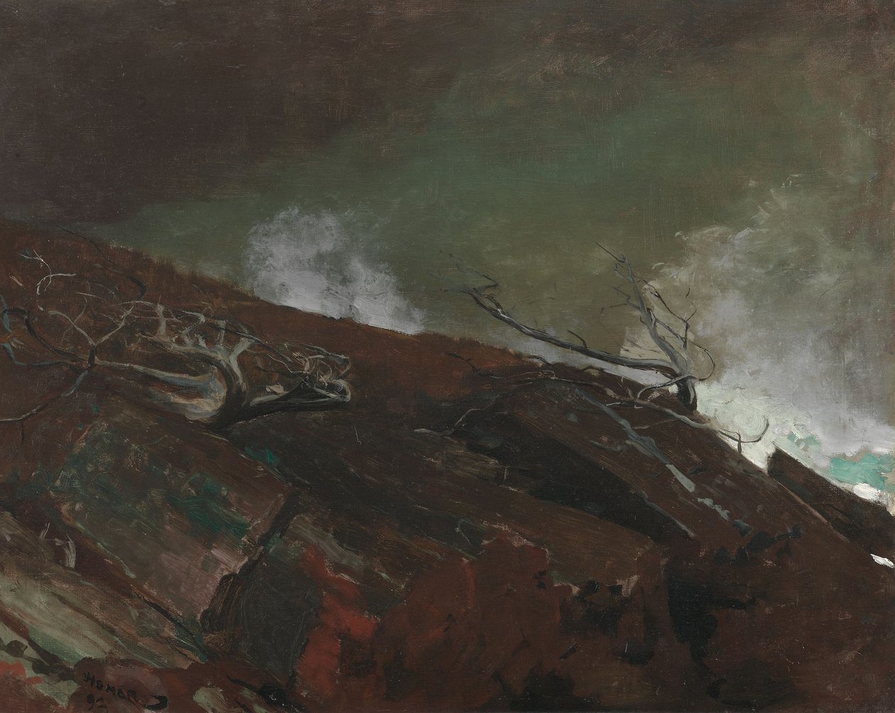 Mainen rannikko tekijältä Winslow Homer