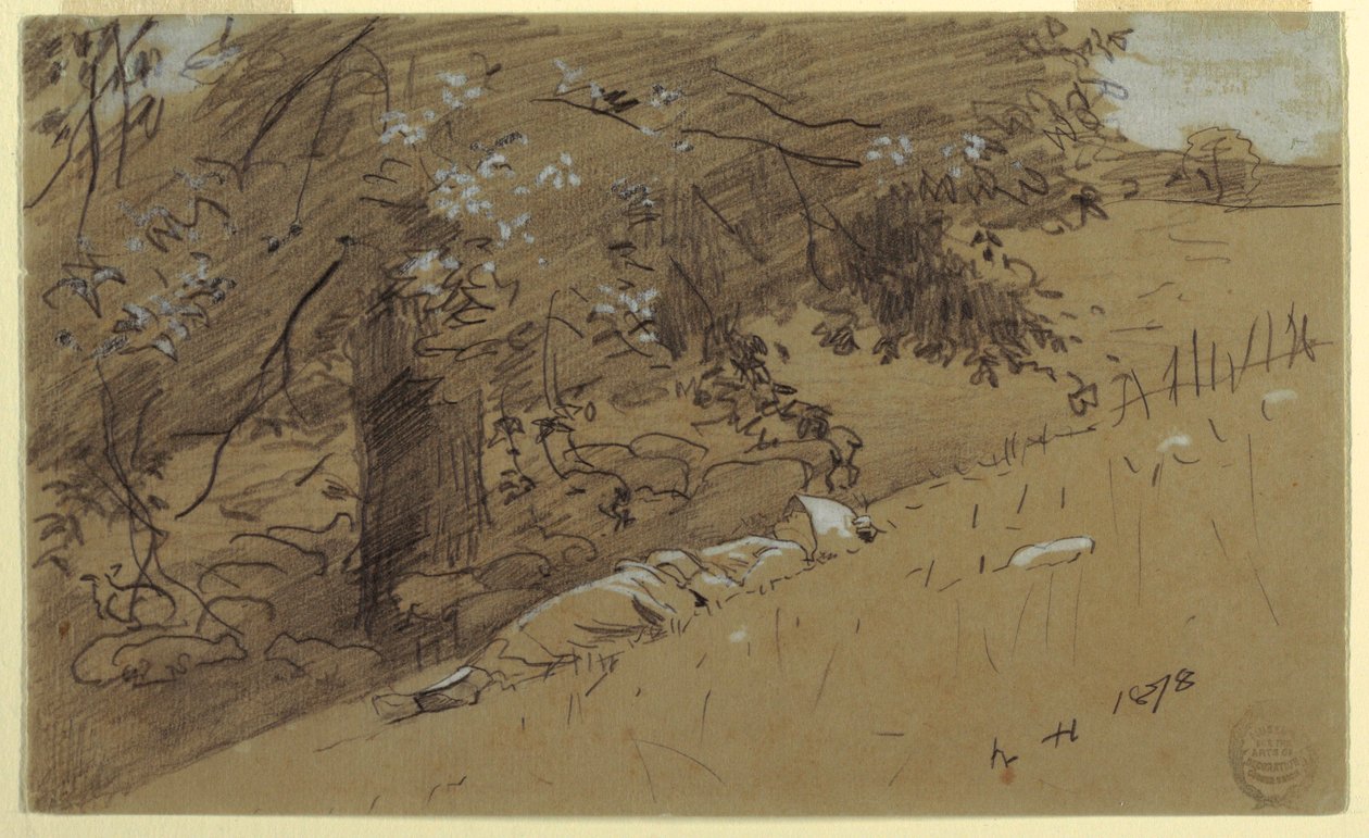 Piirros, Paimentyttö lepää puun alla, 1878 tekijältä Winslow Homer