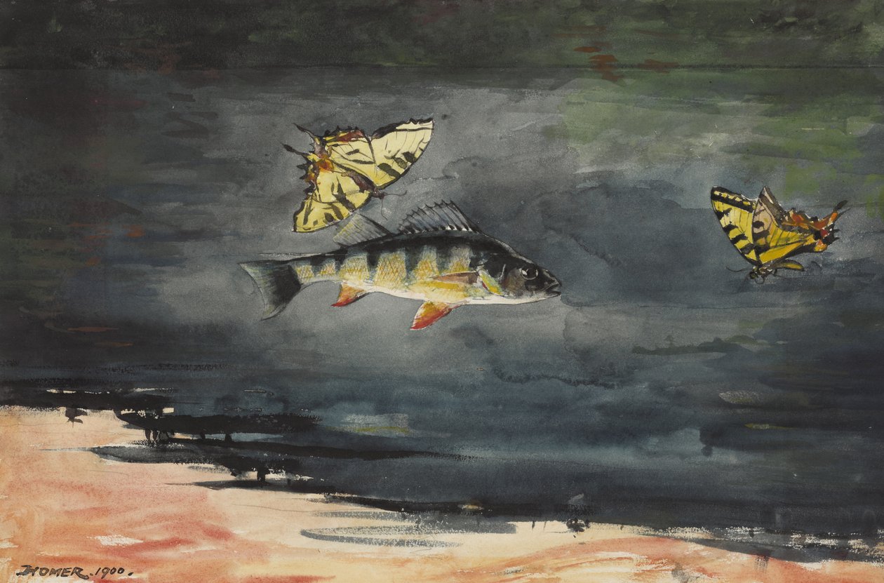 Kalat ja perhoset, 1900 tekijältä Winslow Homer