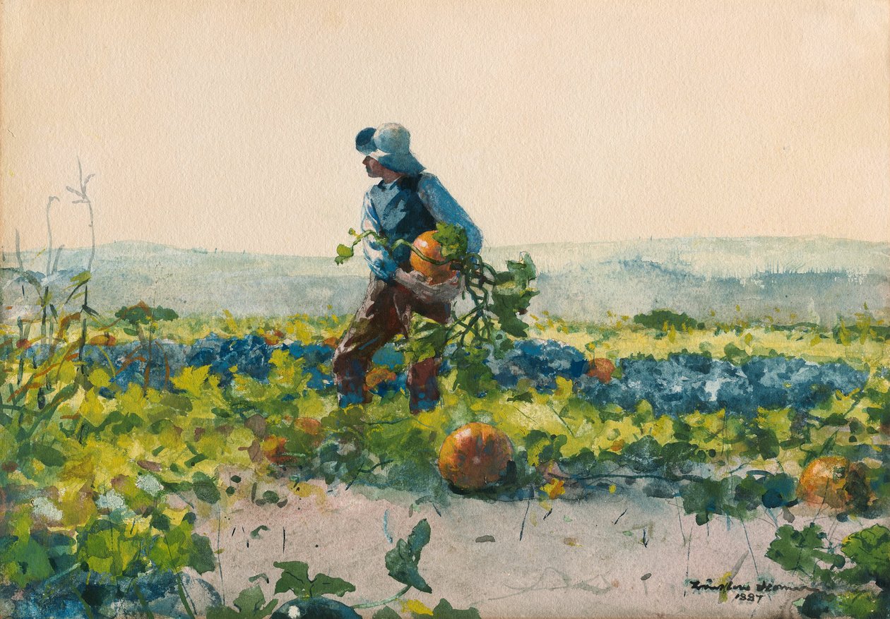 Sillä olla maanviljelijän poika tekijältä Winslow Homer