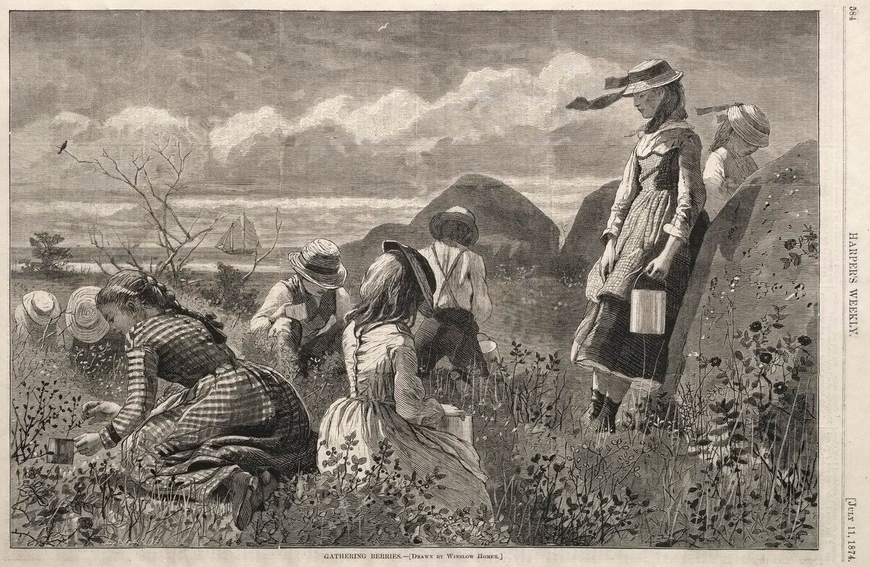 Kerää marjoja, 1874. tekijältä Winslow Homer