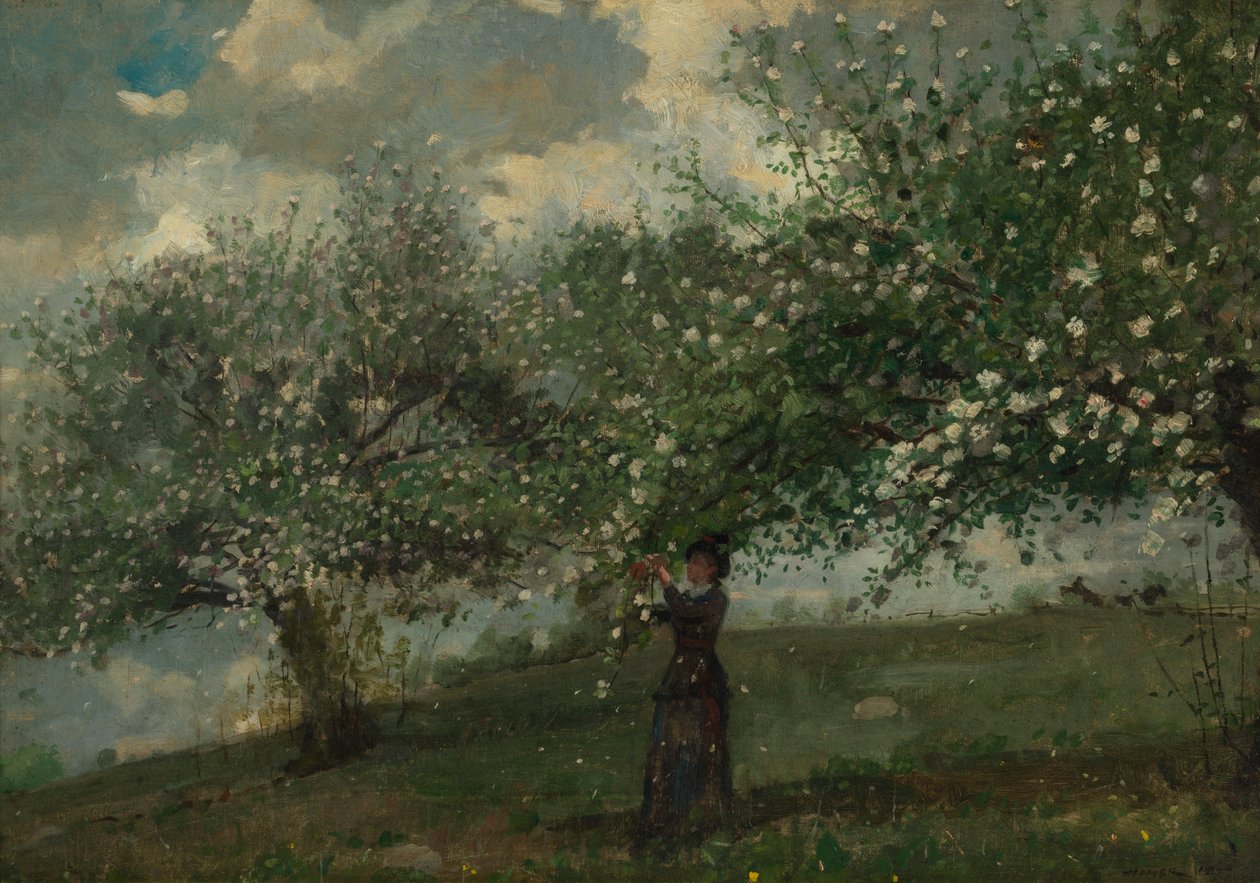 Tyttö poimimassa omenakukkia tekijältä Winslow Homer