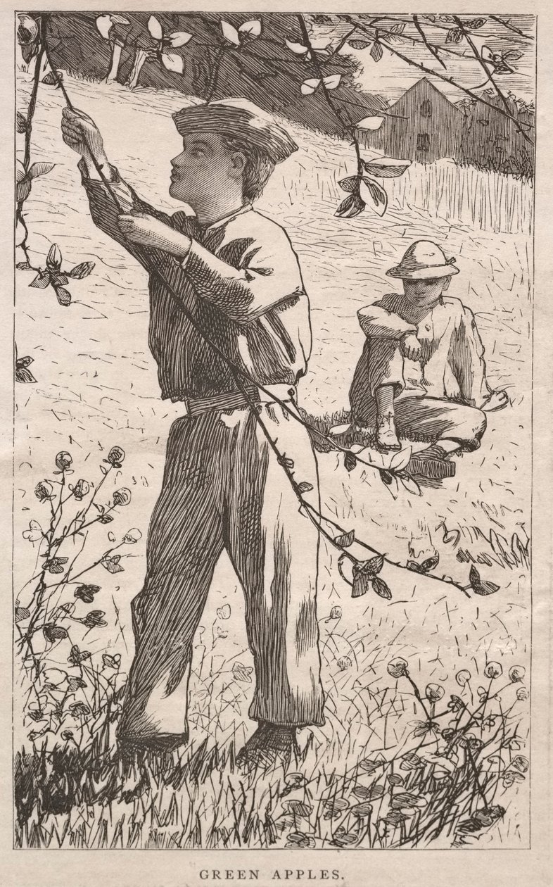 Vihreät omenat tekijältä Winslow Homer