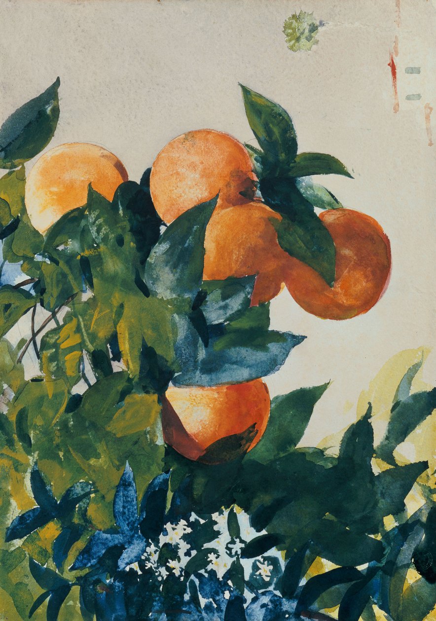 Appelsiinit oksalla, 1885 tekijältä Winslow Homer