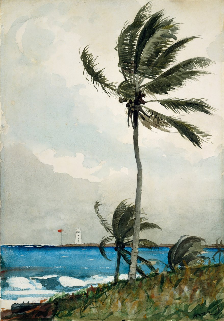 Palmu, Nassau, 1898. tekijältä Winslow Homer