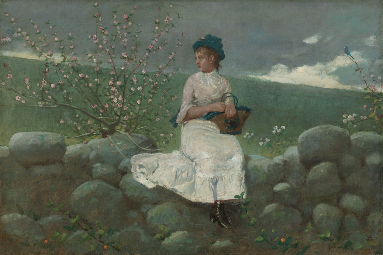 Persikkakukkia tekijältä Winslow Homer