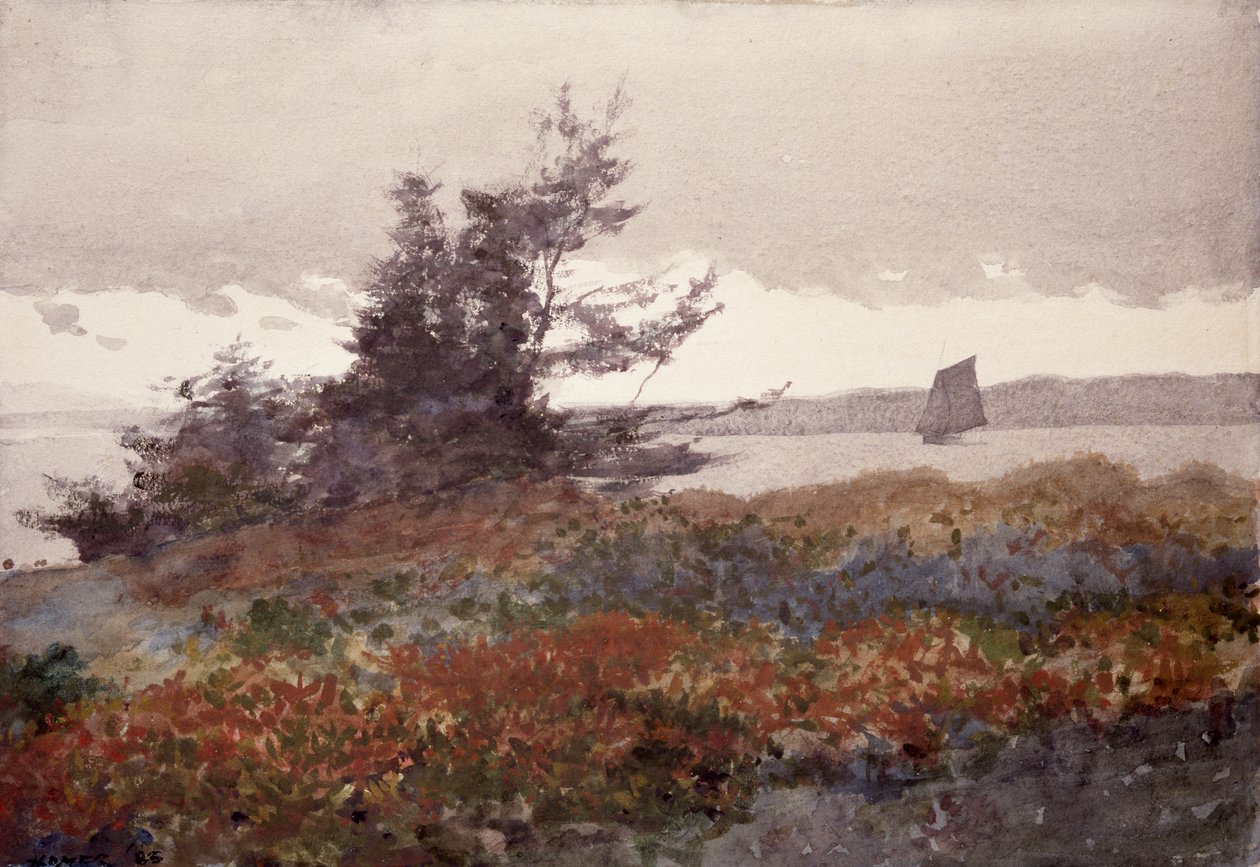 Proutin kaula: Katse kohti vanhaa hedelmätarhaa tekijältä Winslow Homer