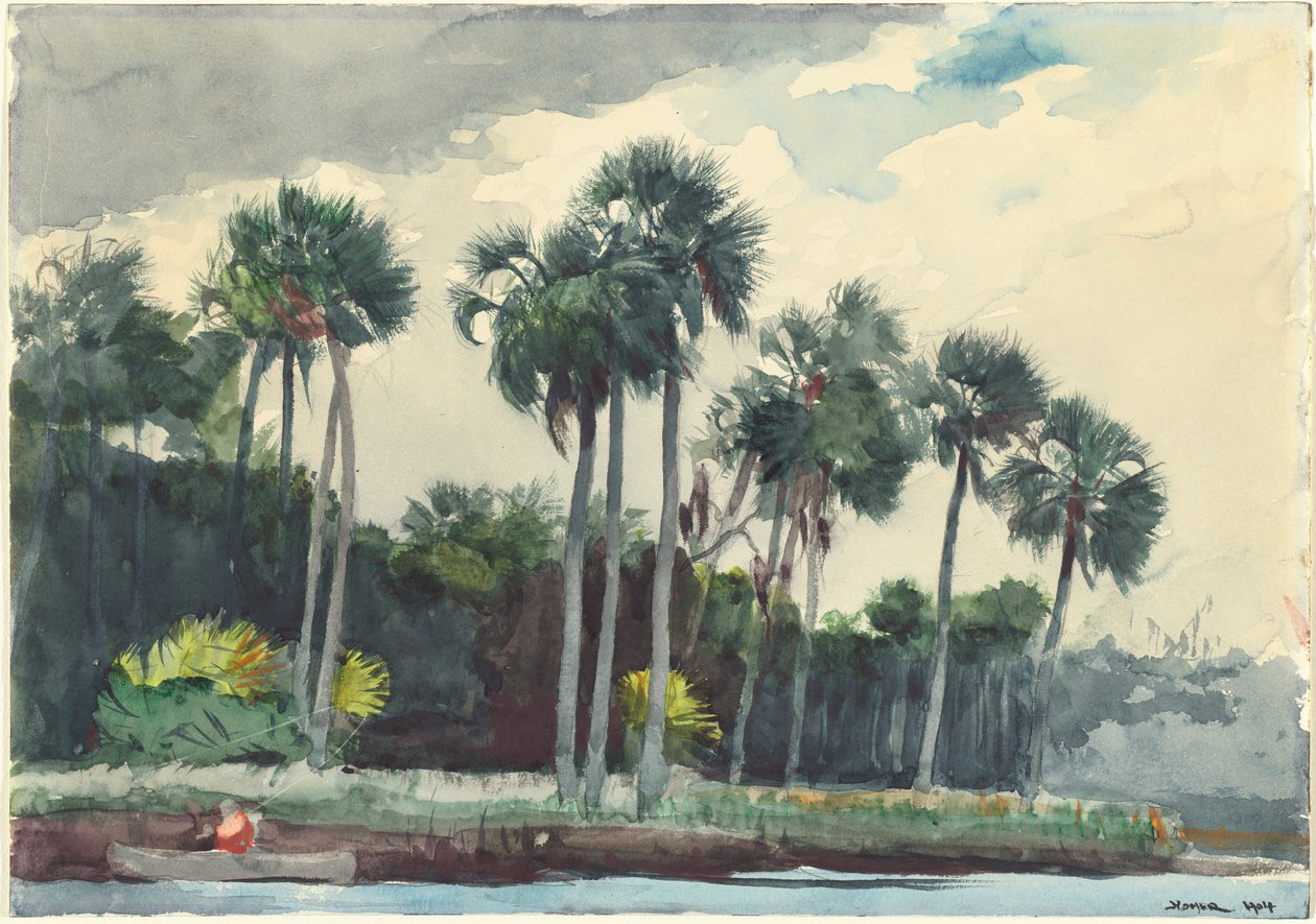 Punainen paita, Homosassa, Florida, 1904. tekijältä Winslow Homer