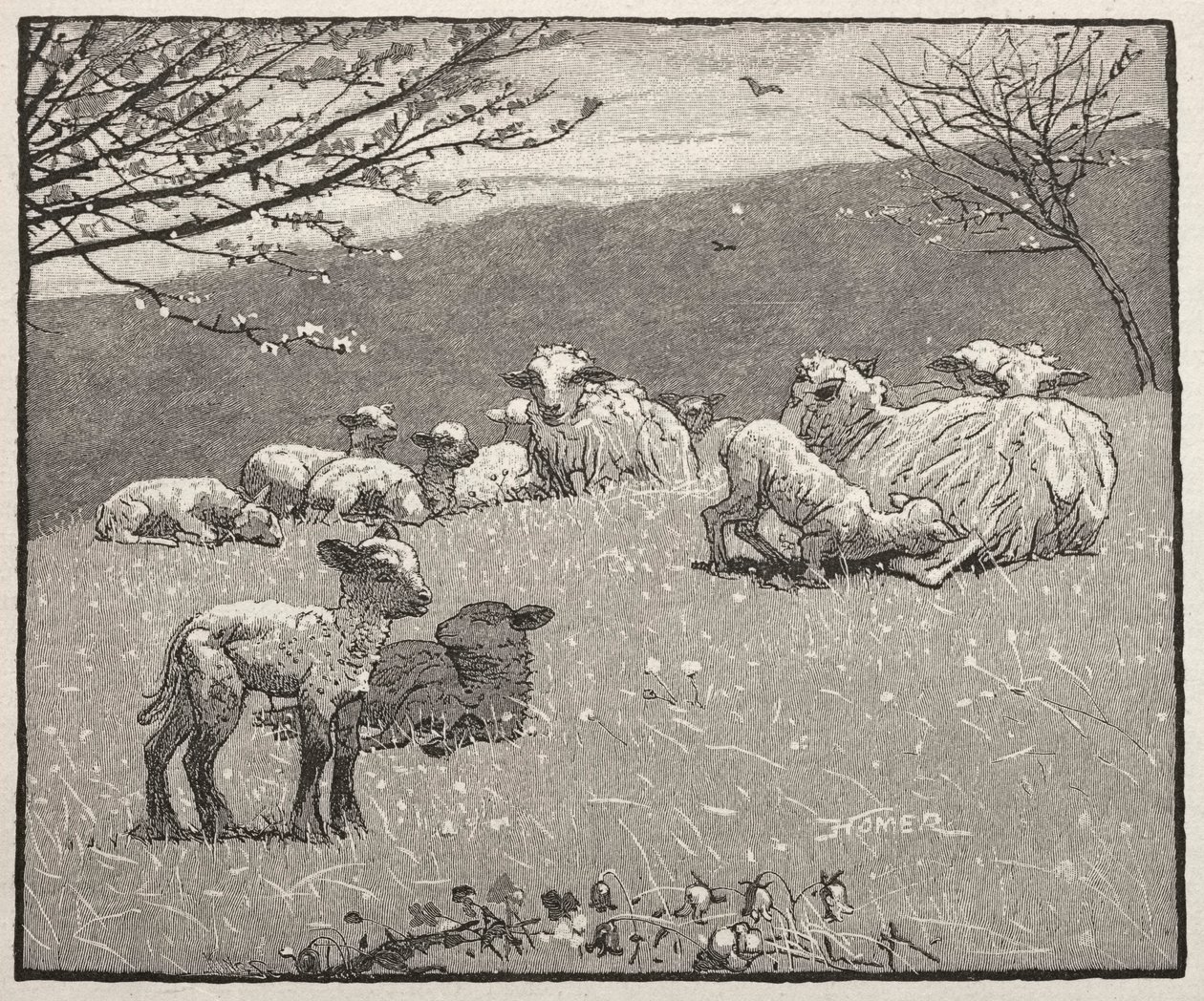 Kevätlammas, 1880. tekijältä Winslow Homer