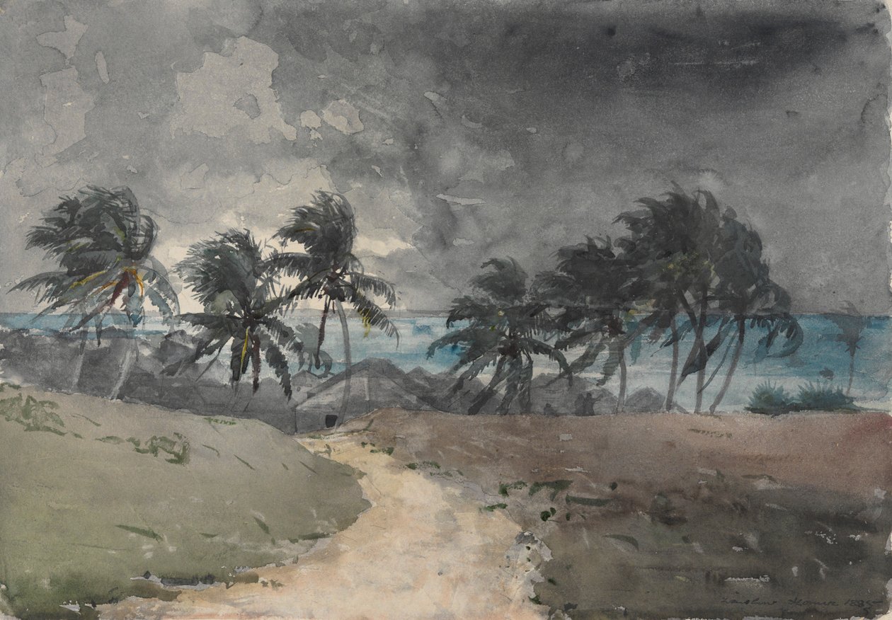 Myrsky, Bahama tekijältä Winslow Homer