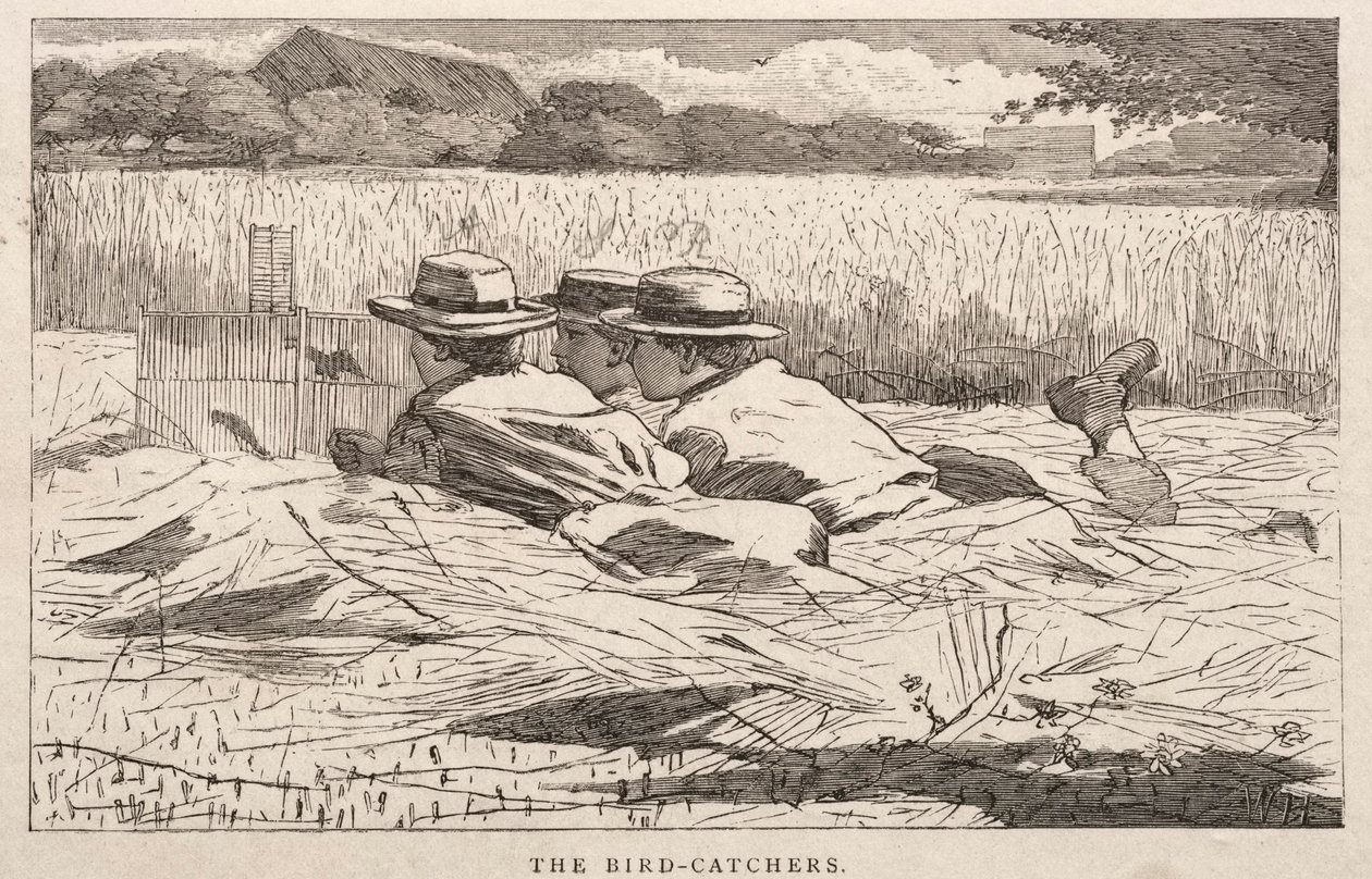 Lintujen sieppaajat tekijältä Winslow Homer