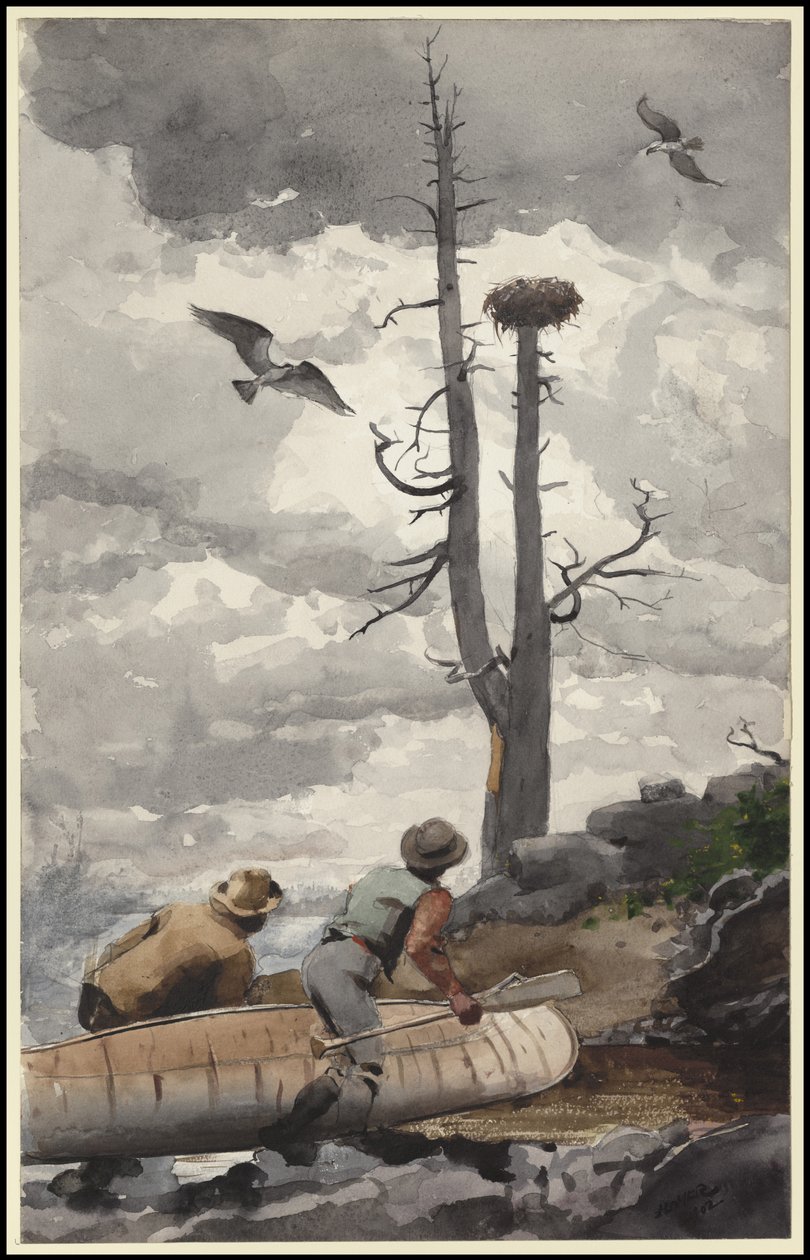 Kotkanpesä, 1902 tekijältä Winslow Homer