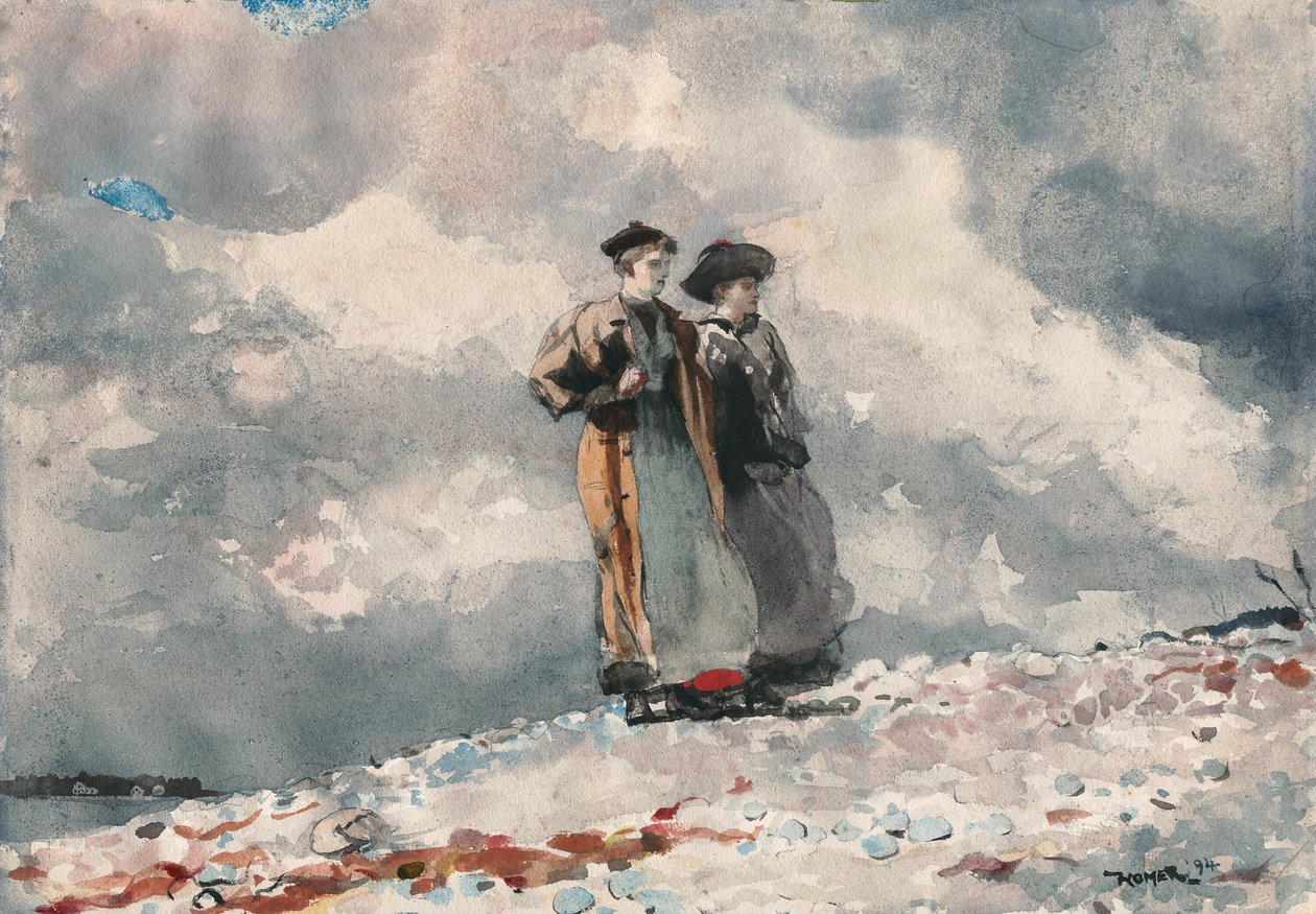 Näkymät, Mainen rannikko tekijältä Winslow Homer