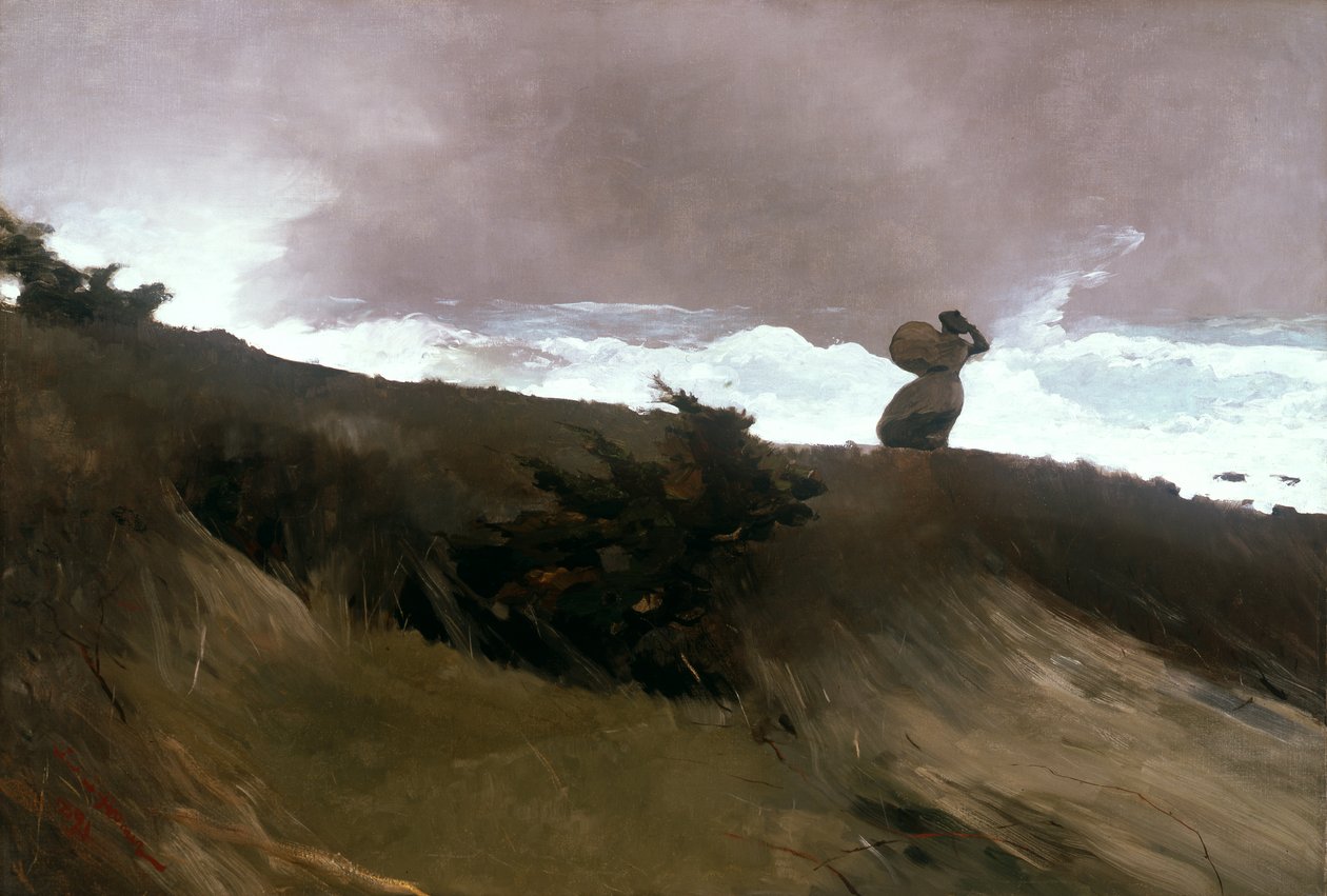 Länsi Tuuli tekijältä Winslow Homer