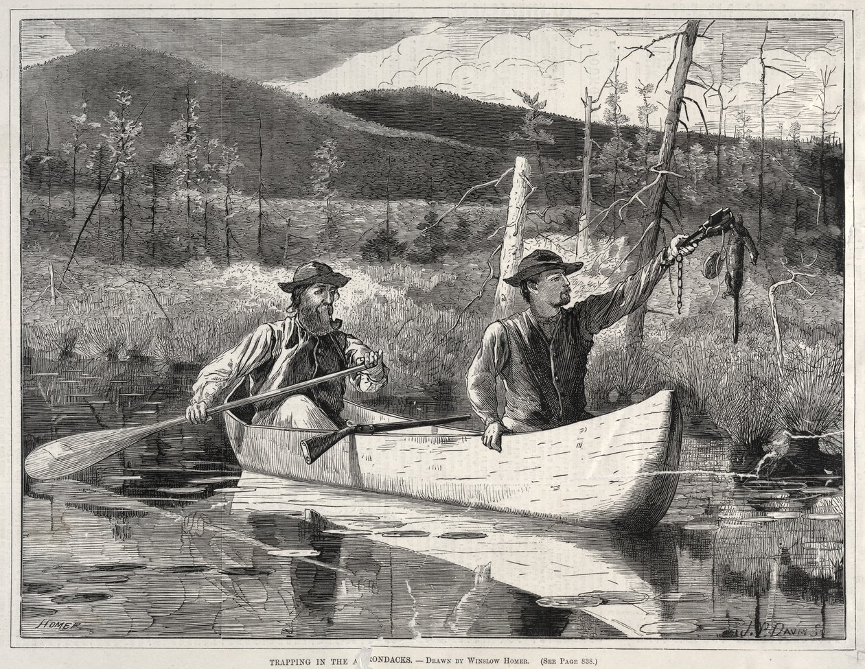 Ansa Adirondacksissa, 1870. tekijältä Winslow Homer