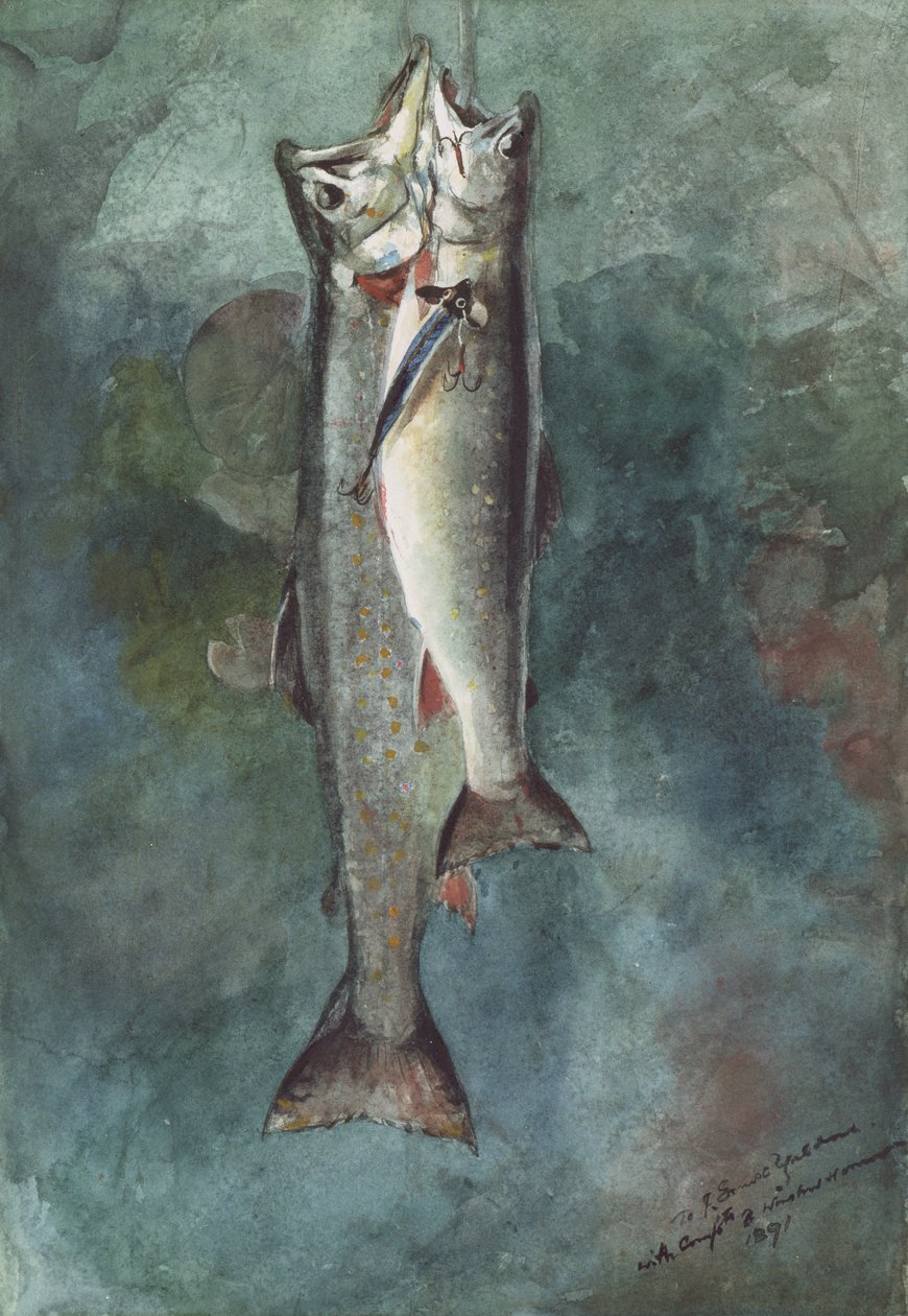 Two Trout, 1891 (wc paperilla) tekijältä Winslow Homer