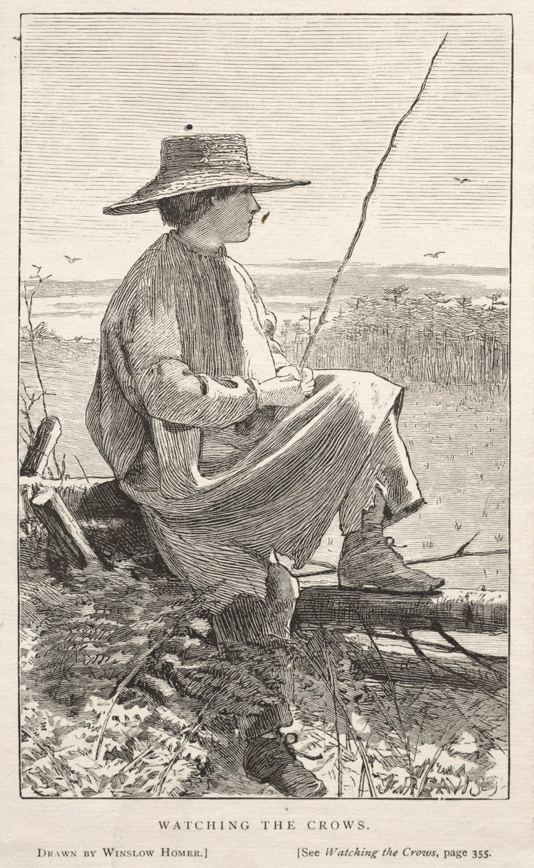 Varisten tarkkailu tekijältä Winslow Homer