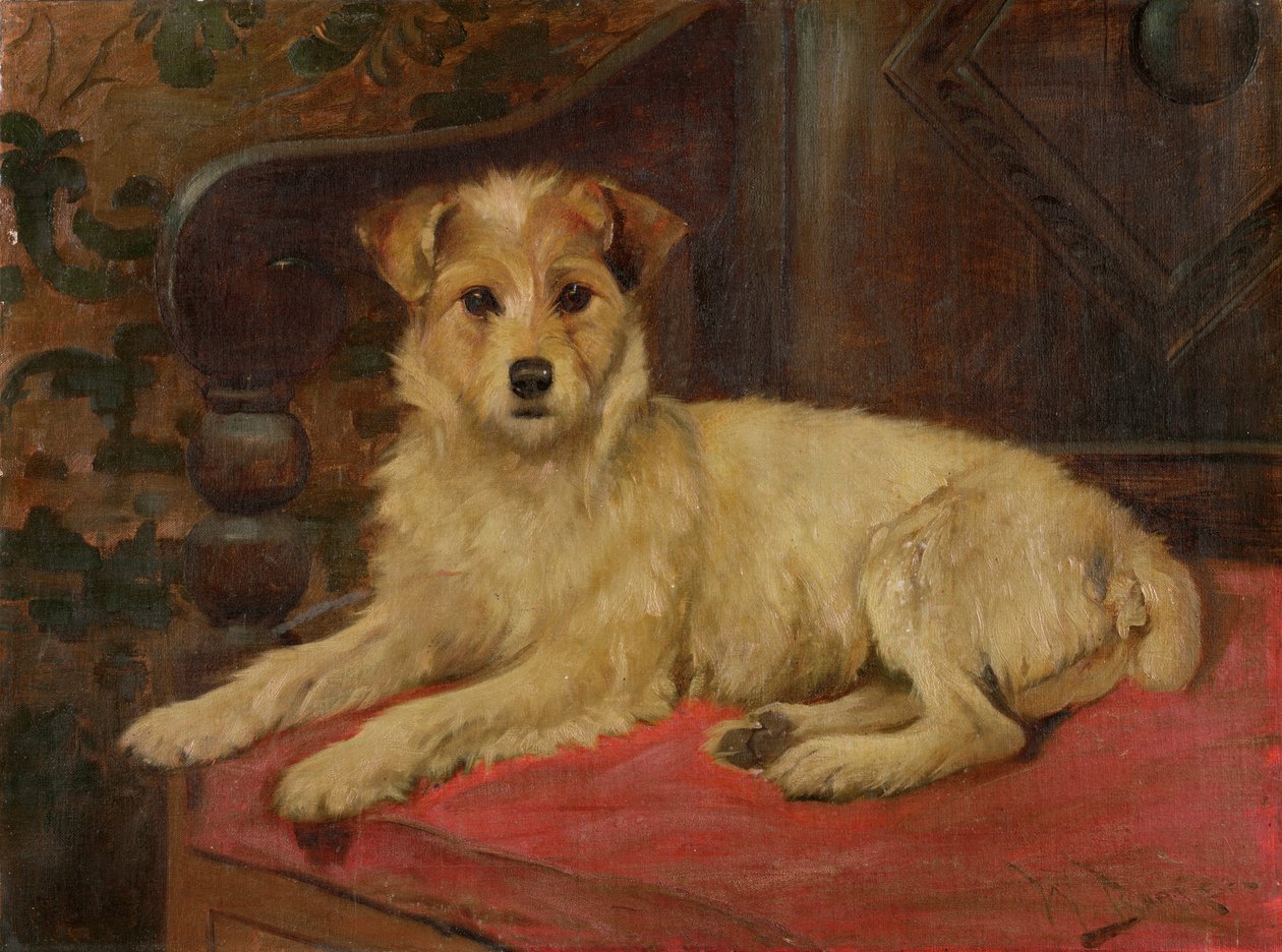 Terrieri sohvalla tekijältä Wright Barker