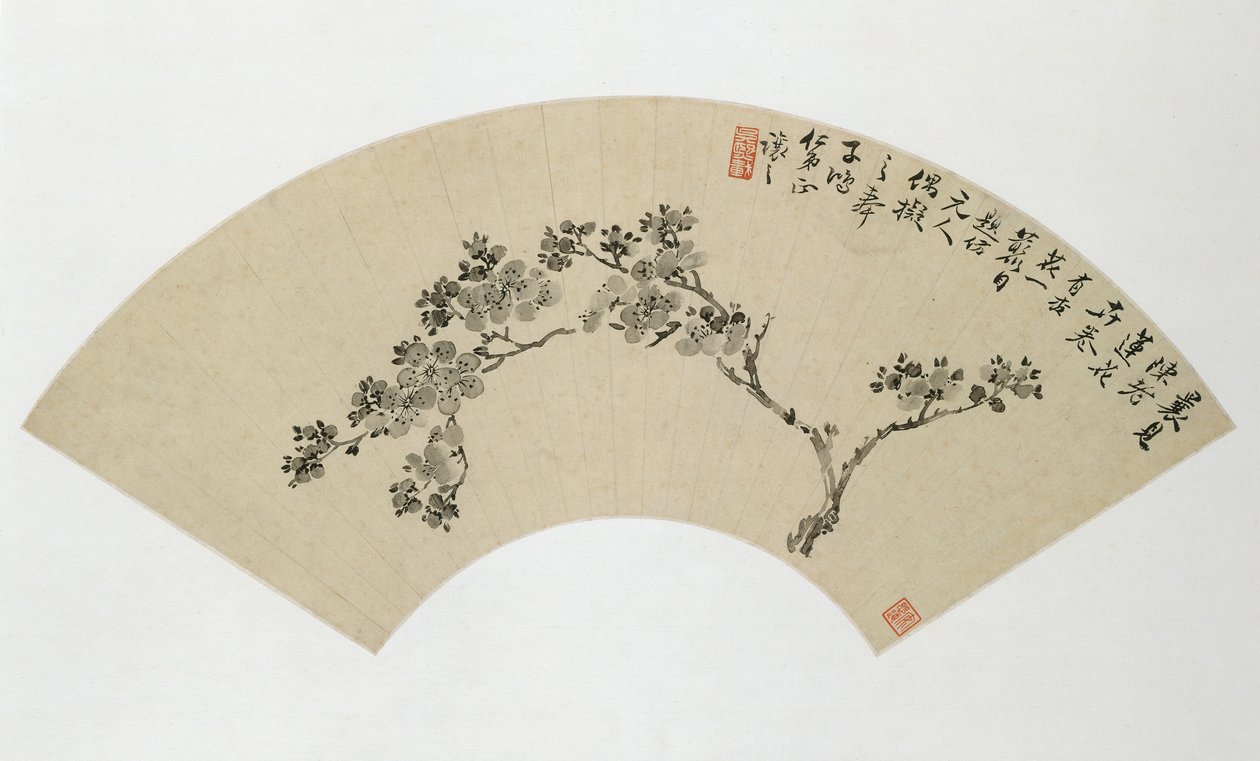 Aprikoosi, 1800-luku. tekijältä Wu Xizai