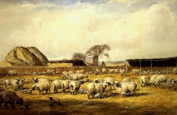 Lambing Pen, Hungerford tekijältä Wycliffe Egginton