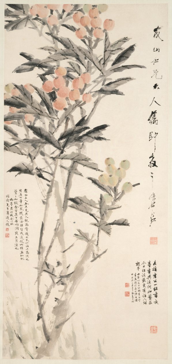 Pipa Loquats, c. 1888-89. tekijältä Xugu