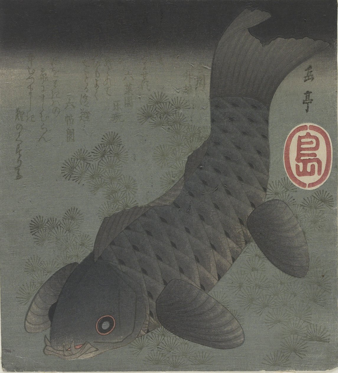 (Musta karppi), 1800-luvun puoliväli tekijältä Yashima Gakutei