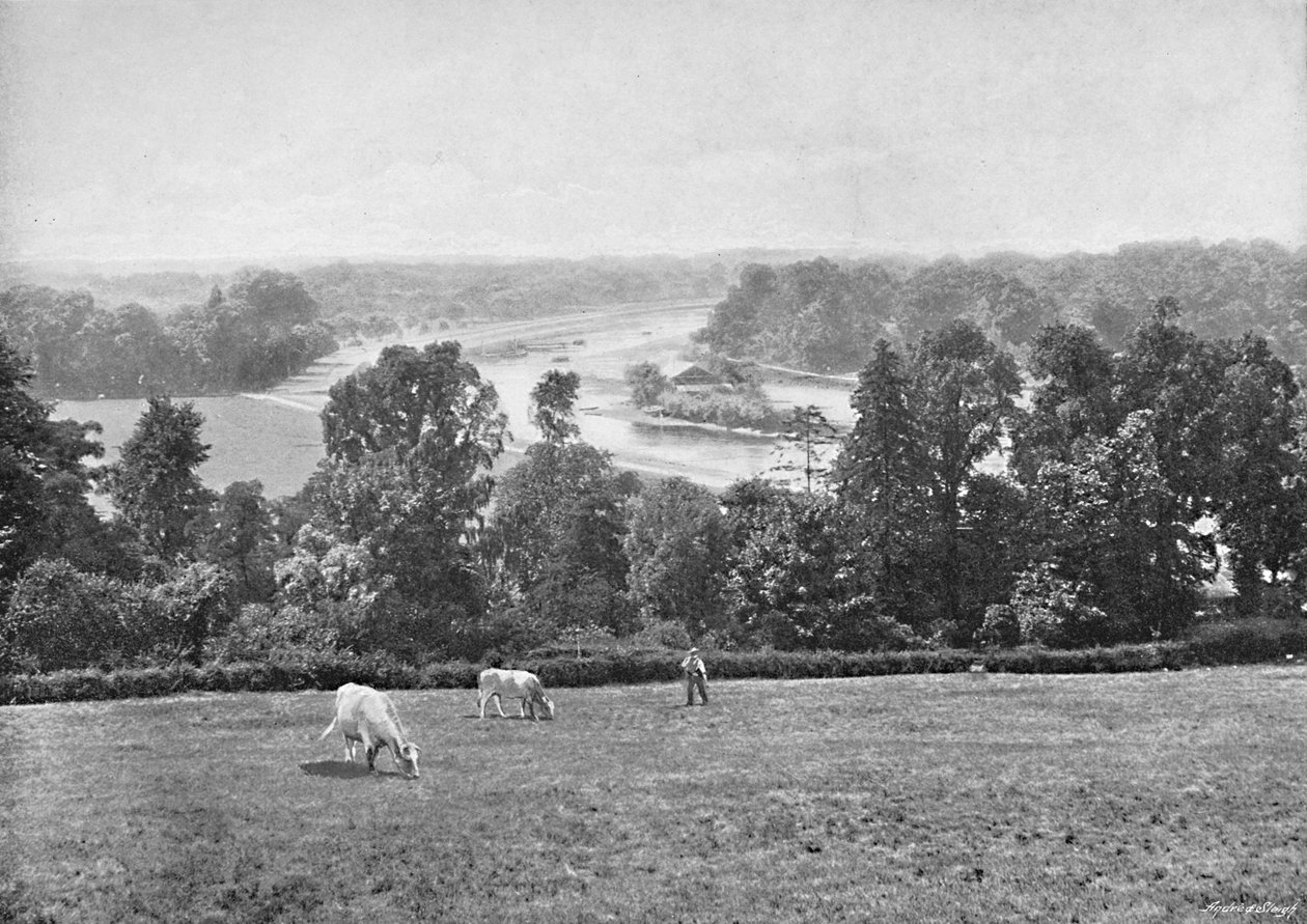 Richmond Hillistä, Surreysta, vuodelta 1896 tekijältä York and Son