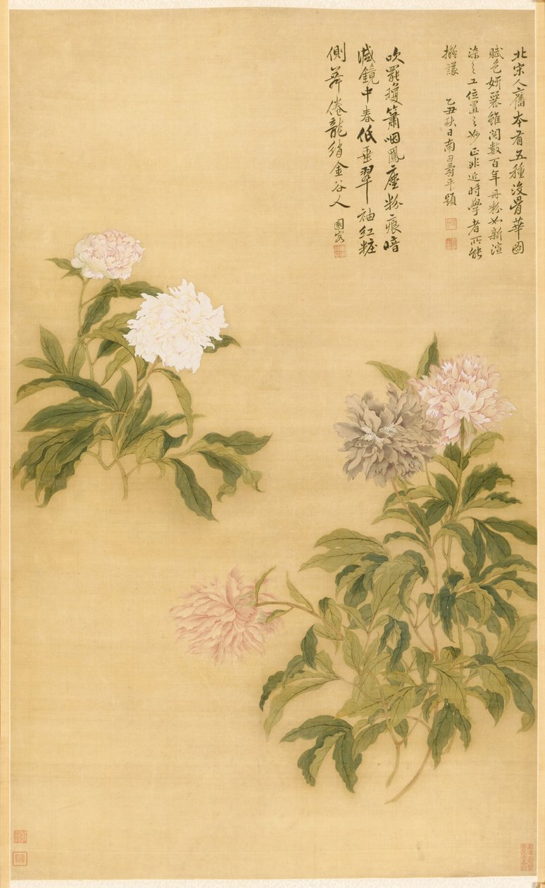 Pionit, 1685. tekijältä Shouping Yun